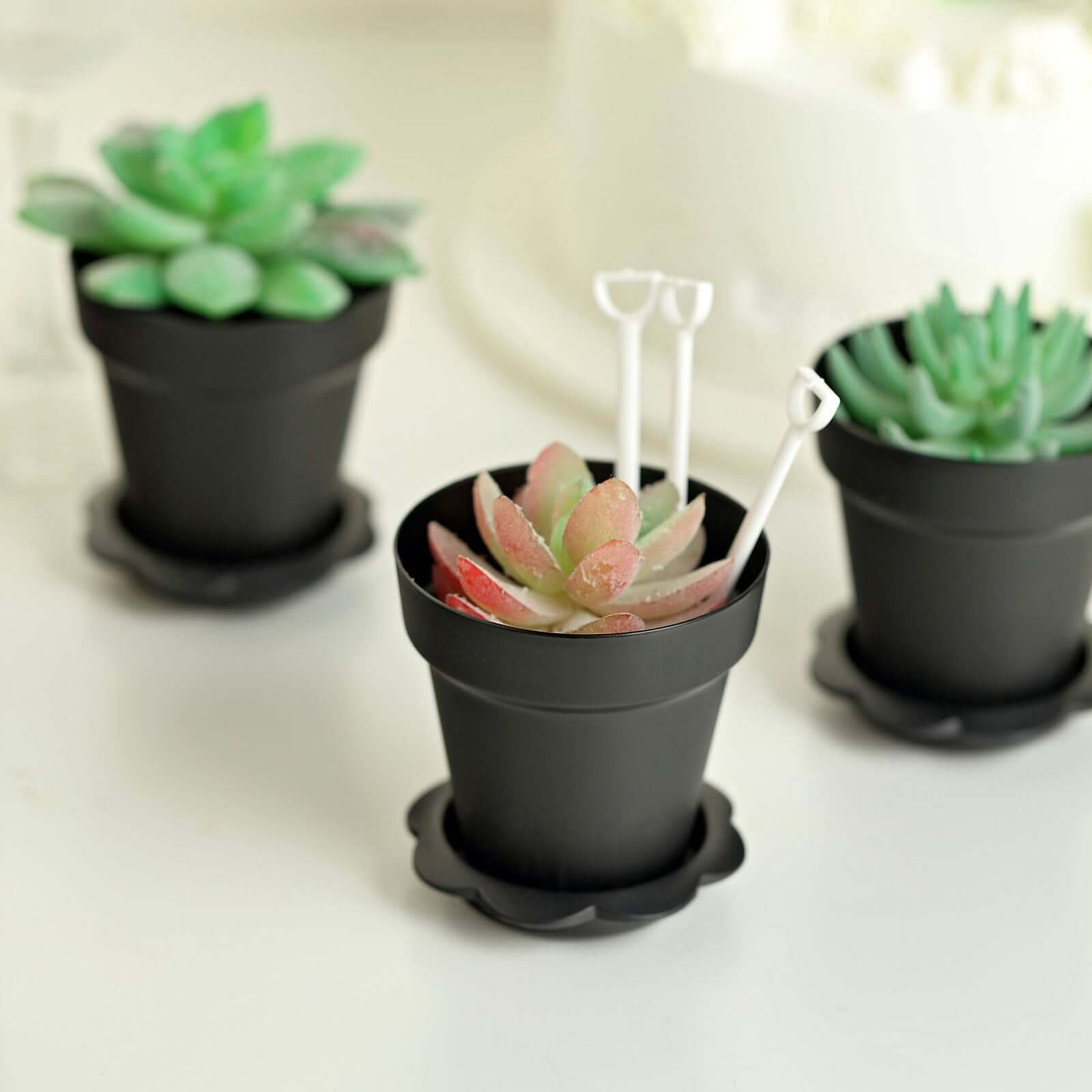 12-Pack Black Plastic Dessert Cups with Succulent Planter Design, Lids & Shovels