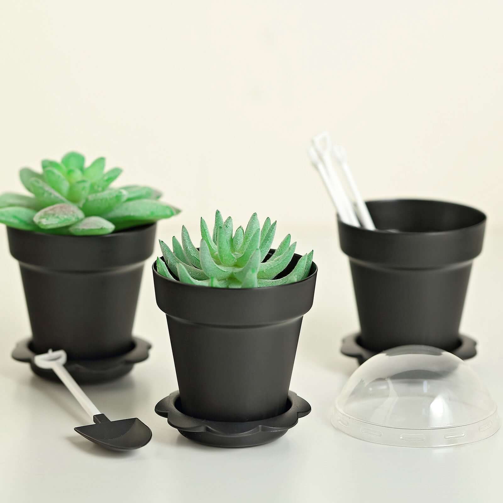 12-Pack Black Plastic Dessert Cups with Succulent Planter Design, Lids & Shovels