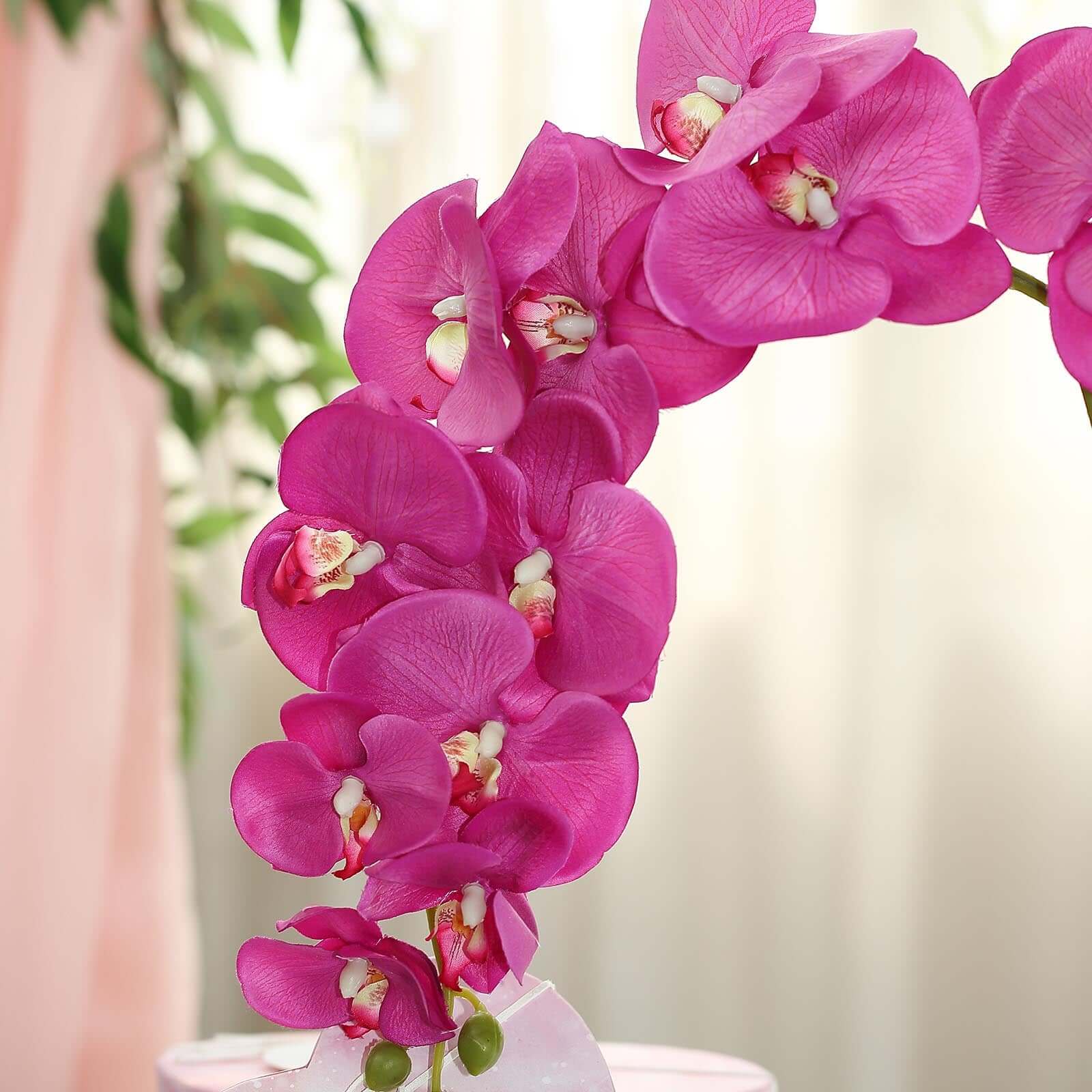 Buy 2 Stems of 40