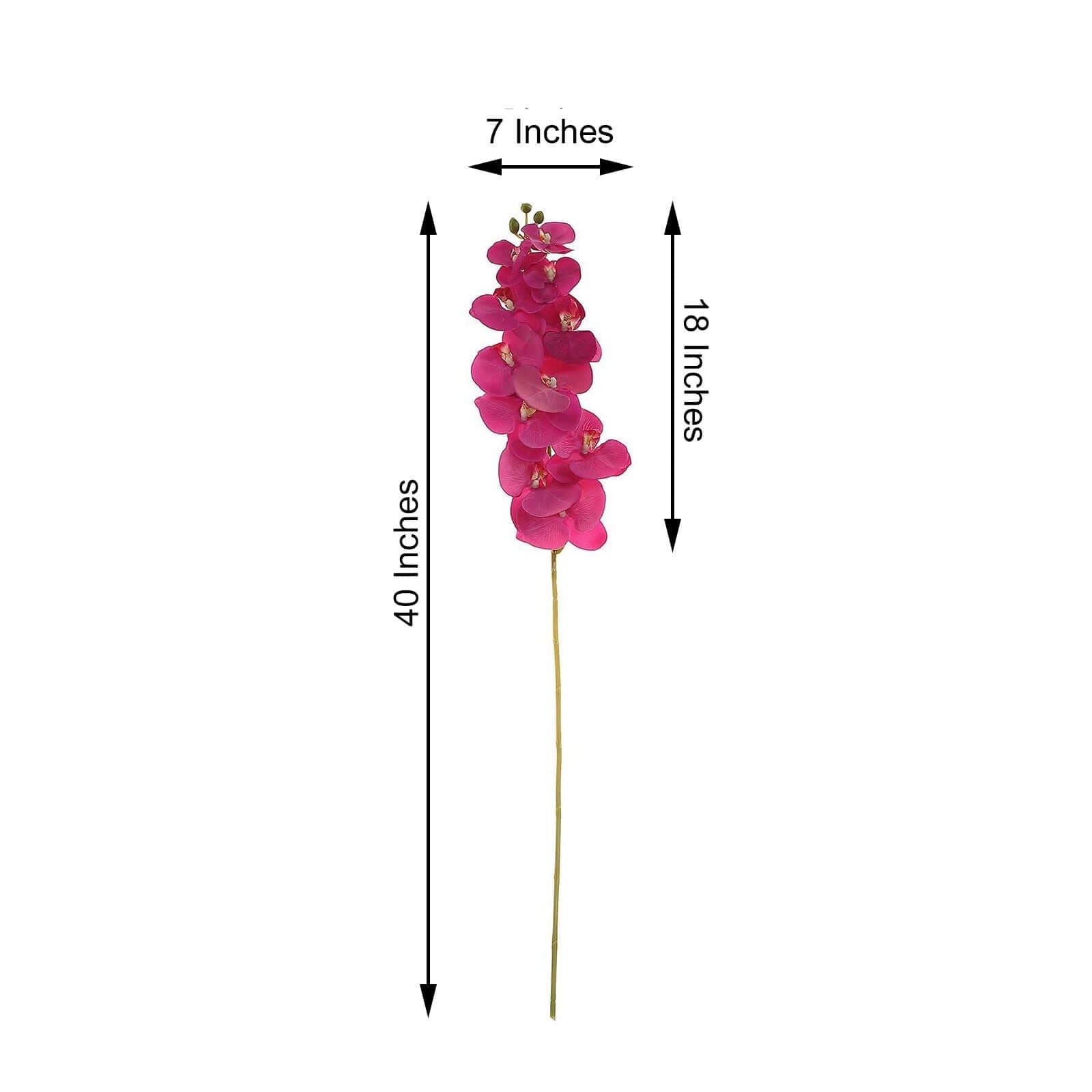 Buy 2 Stems of 40
