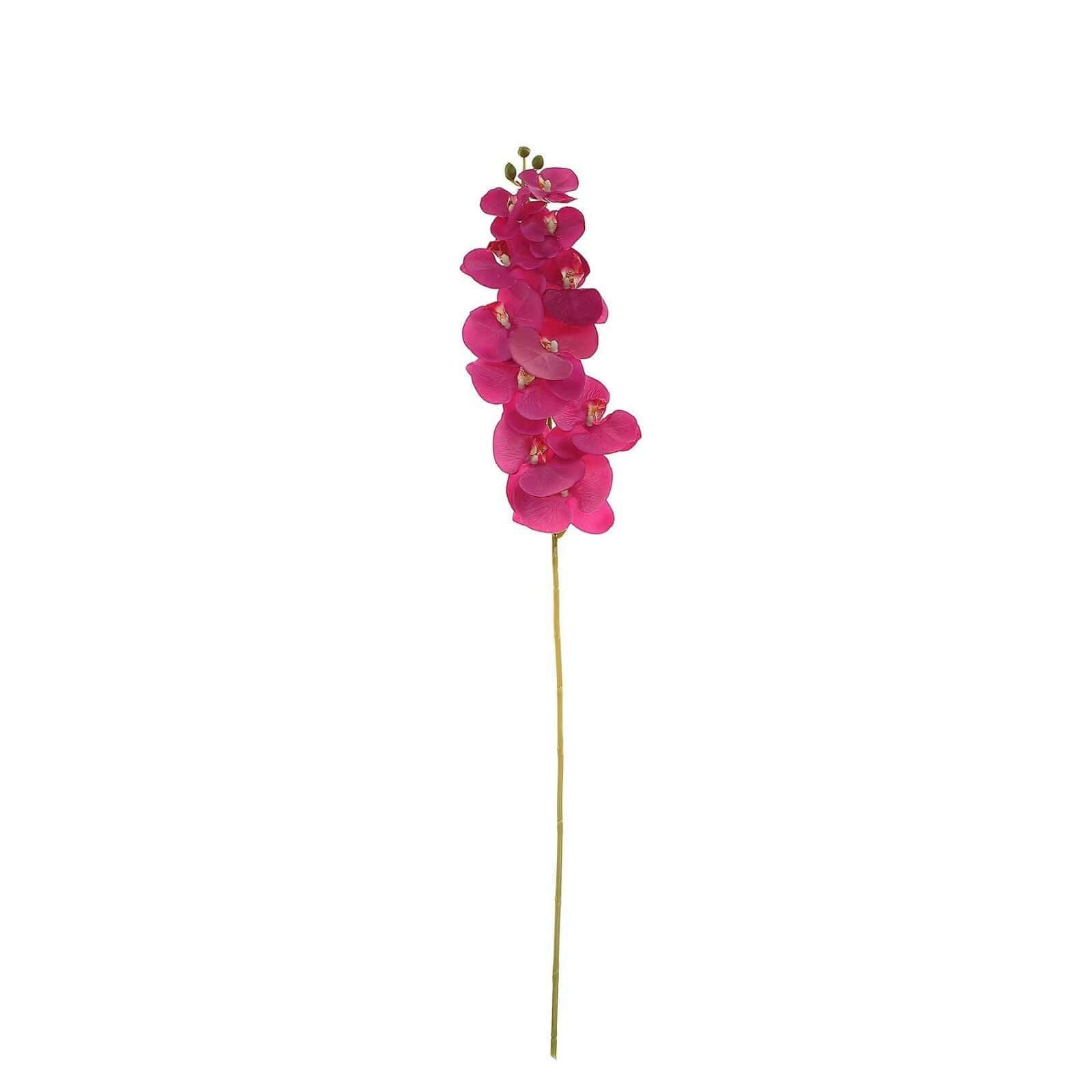 Buy 2 Stems of 40