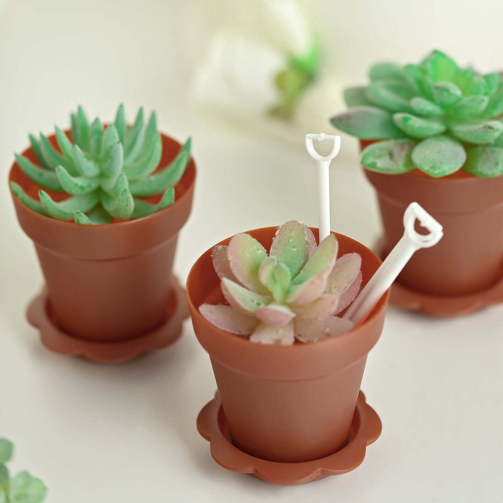 12-Pack Plastic Dessert Cups with Lids and Shovels in Terracotta (Rust) Succulent Planter Design