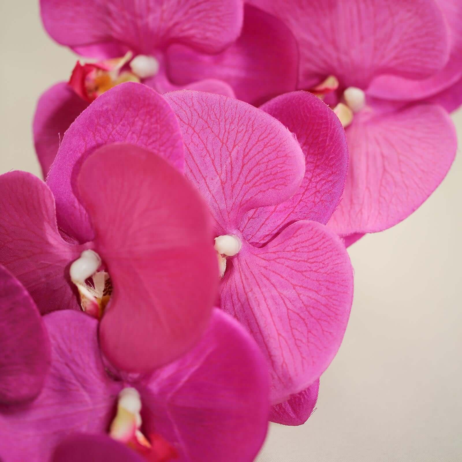 Buy 2 Stems of 40