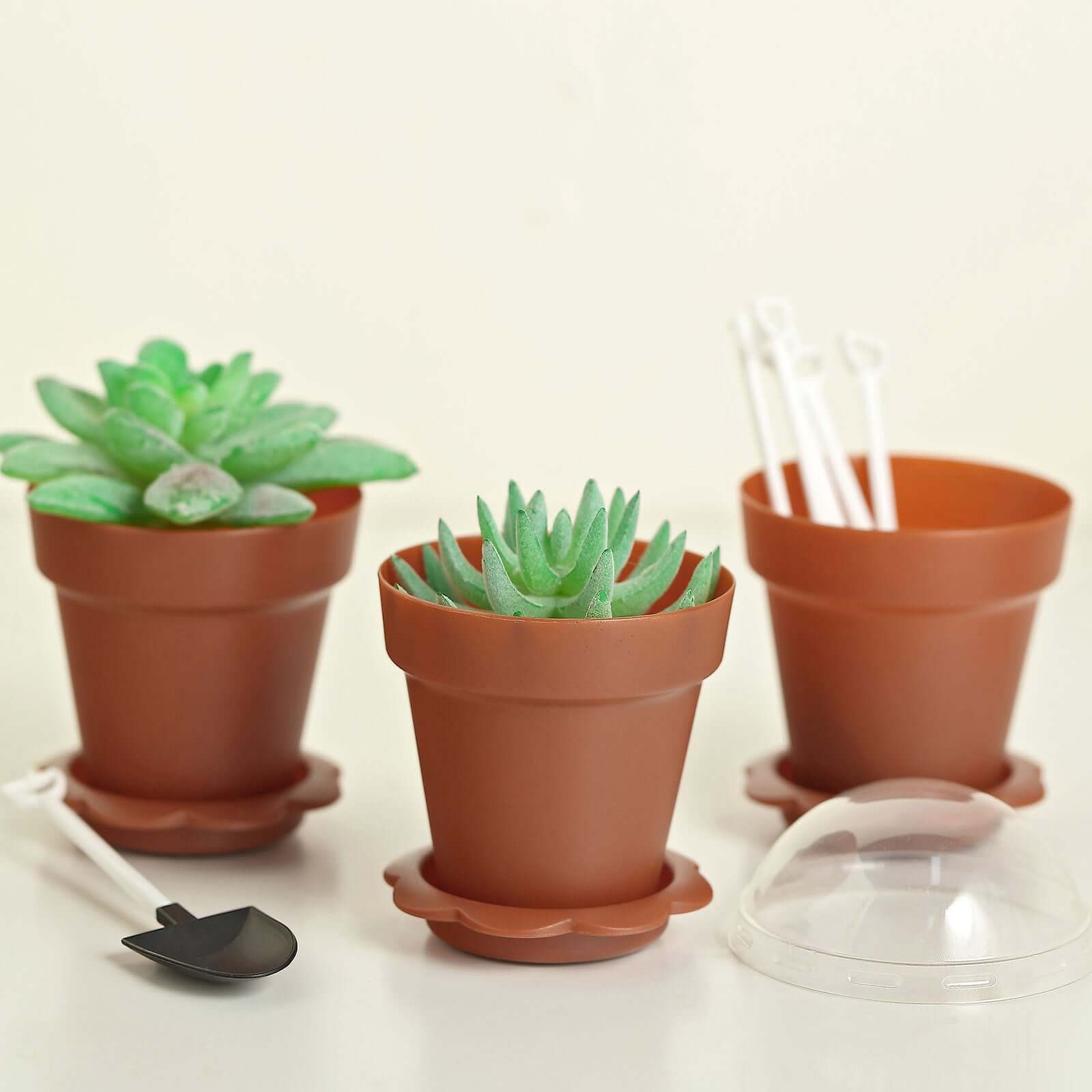 12-Pack Plastic Dessert Cups with Lids and Shovels in Terracotta (Rust) Succulent Planter Design