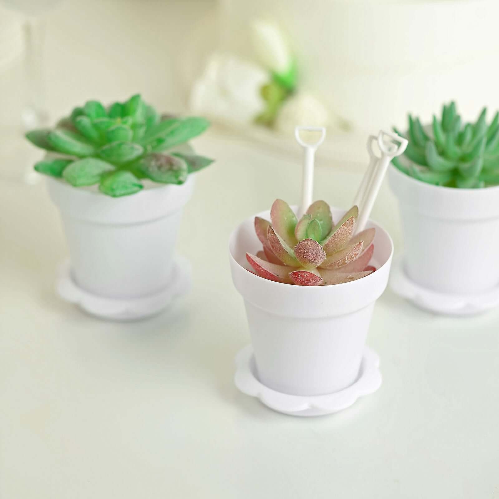 12-Piece White Plastic Dessert Cups with Succulent Planter Design, Lids and Shovels