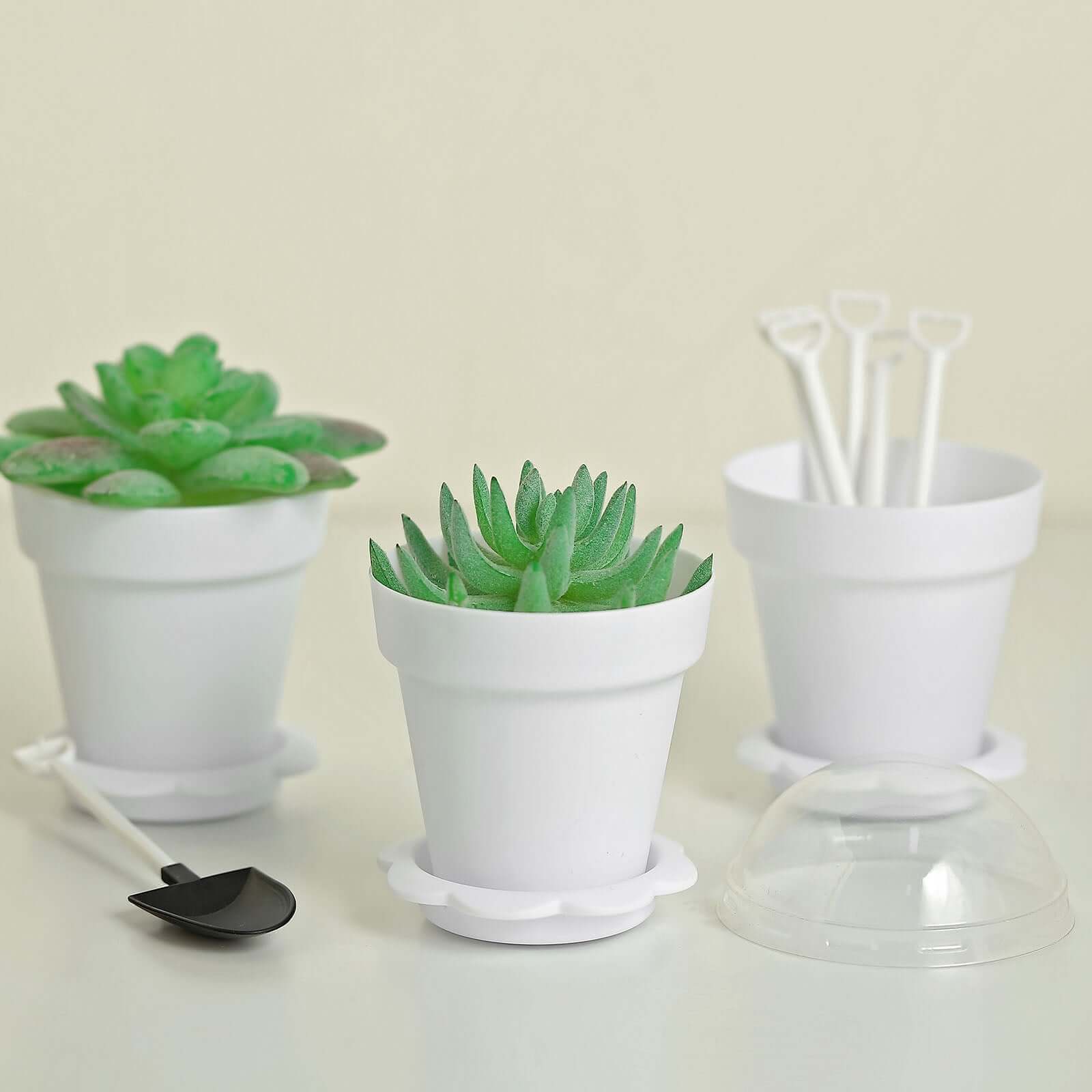 12-Piece White Plastic Dessert Cups with Succulent Planter Design, Lids and Shovels