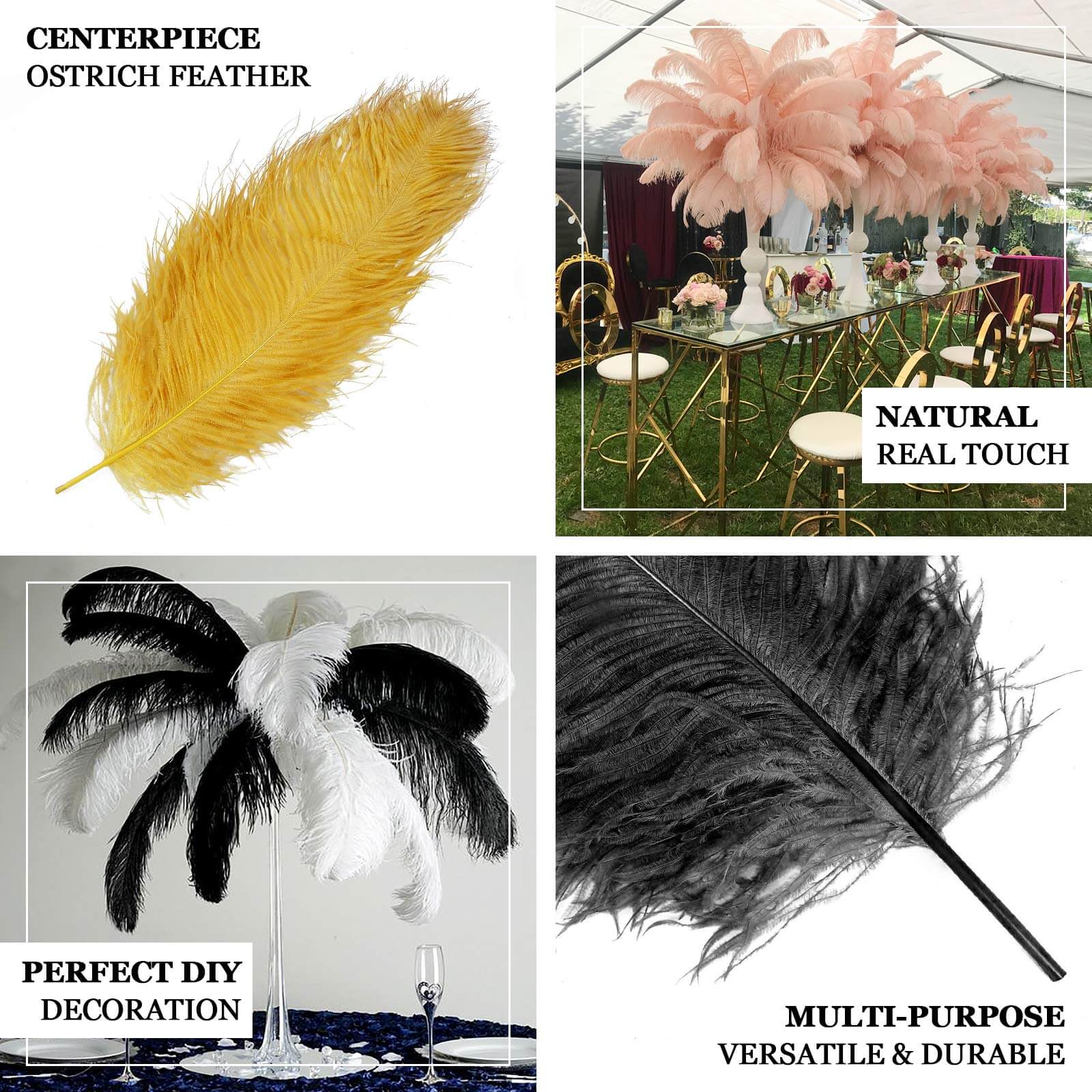 12-Piece Set of White Natural Ostrich Plume Feathers for Centerpiece, 24 - 26 Inches