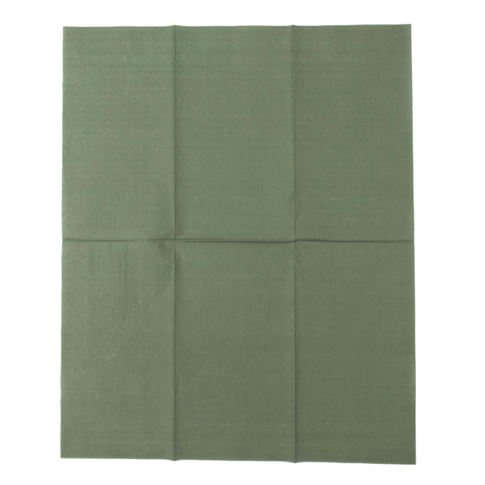 50-Piece Soft Dusty Sage Green Disposable 2-Ply Paper Napkins for Weddings