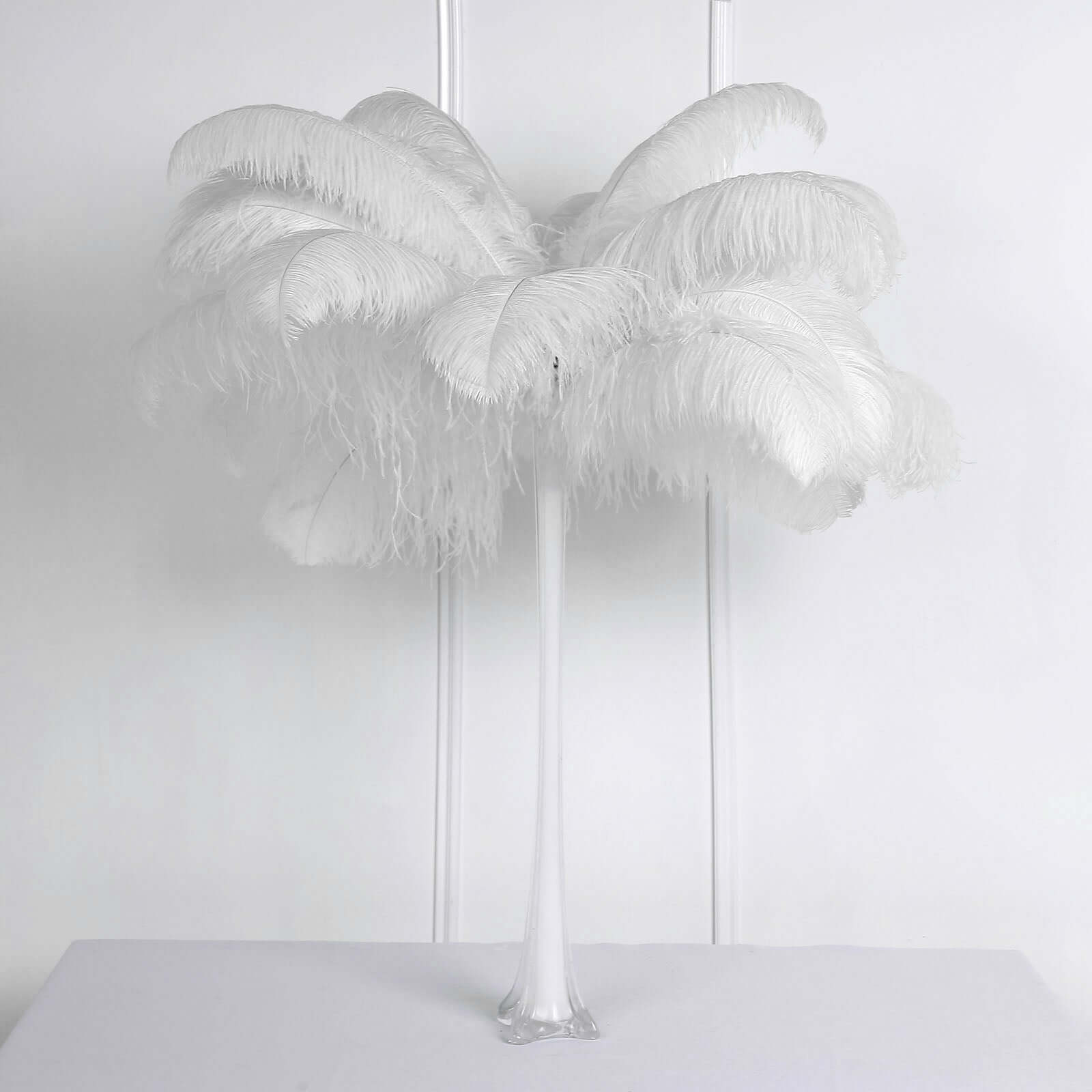 12-Piece Set of White Natural Ostrich Plume Feathers for Centerpiece, 24 - 26 Inches