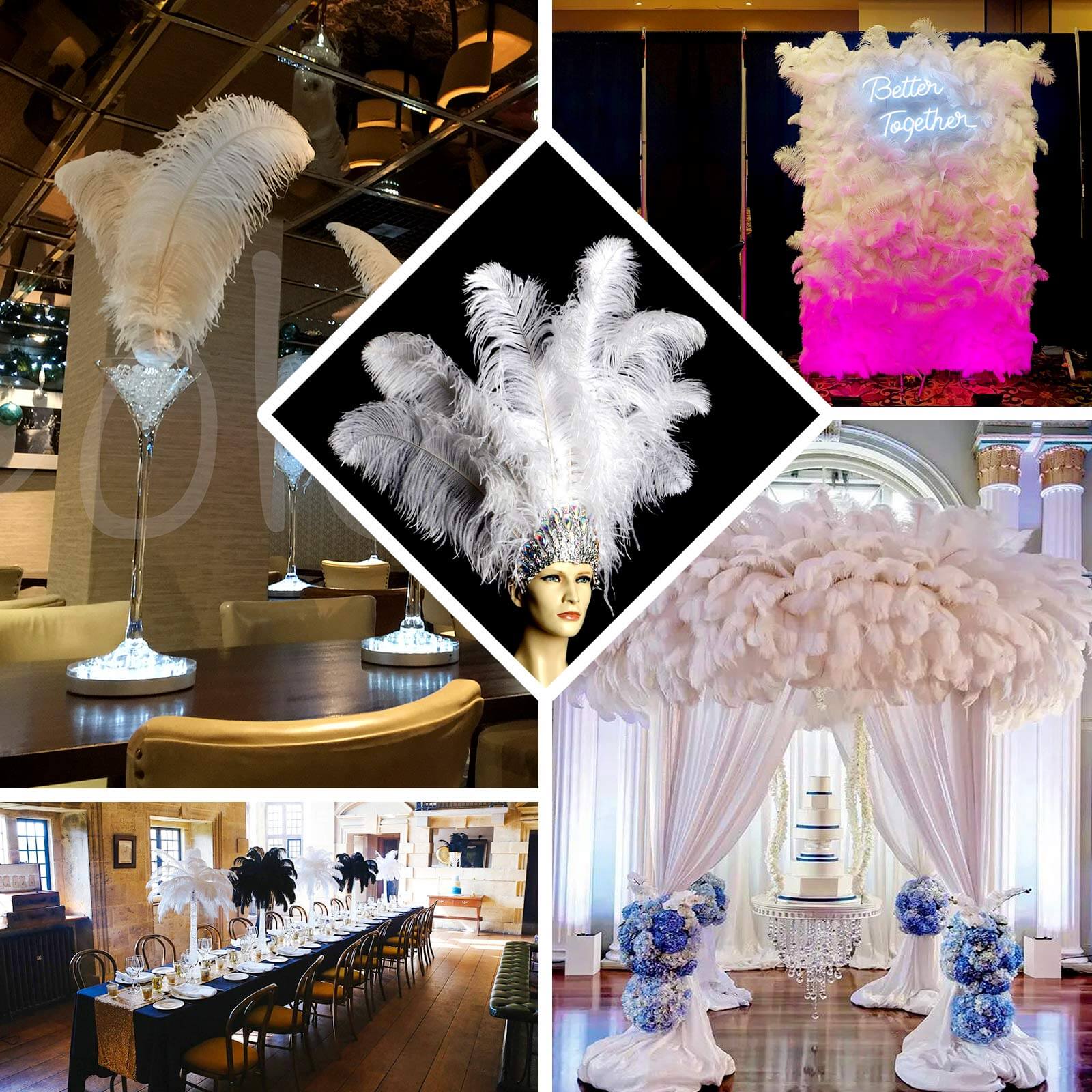 12-Piece Set of White Natural Ostrich Plume Feathers for Centerpiece, 24 - 26 Inches