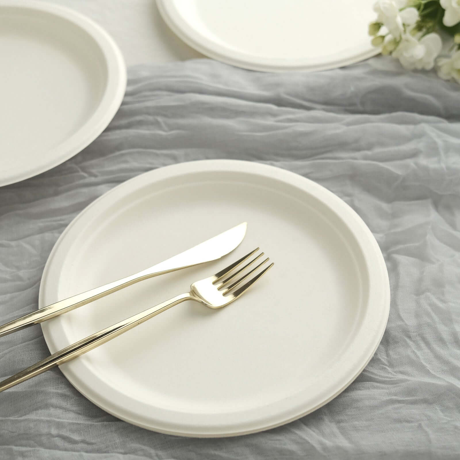 Hot Deal! 50-Pack Biodegradable White Round 9-Inch Bagasse Dinner Plates for Outdoor Parties