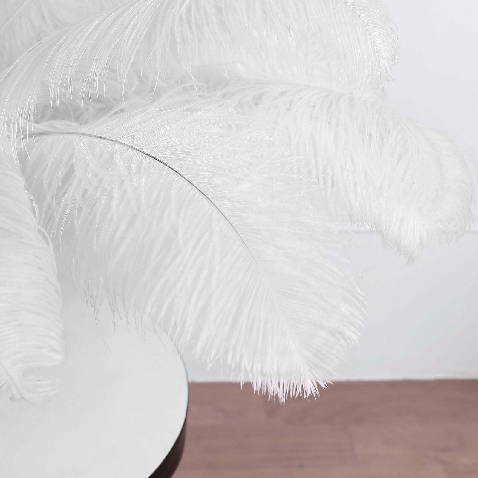 12-Piece Set of White Natural Ostrich Plume Feathers for Centerpiece, 24 - 26 Inches