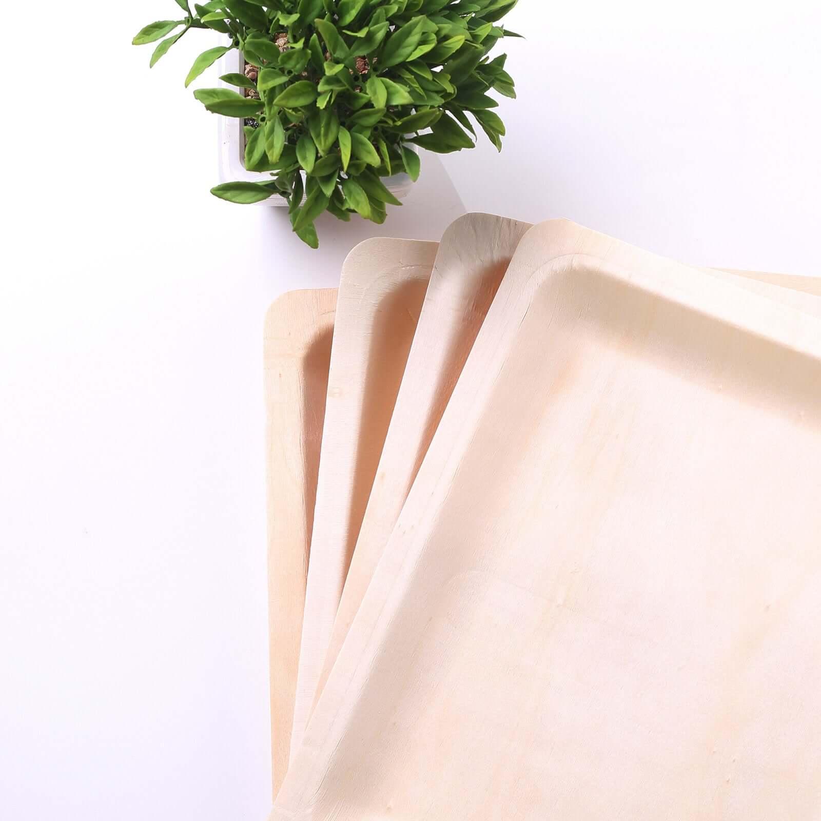 12-Pack Natural Birchwood 8x10 Rectangle Disposable Dinner Plates - Ideal for Farmhouse Events