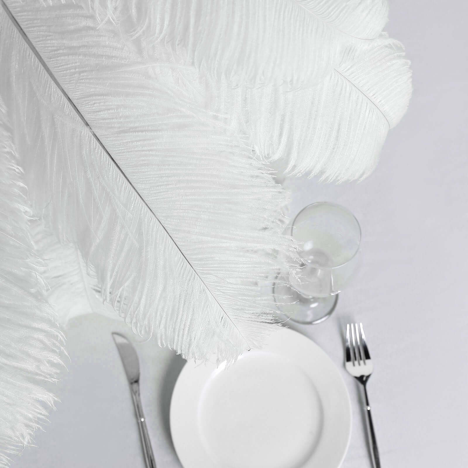 12-Piece Set of White Natural Ostrich Plume Feathers for Centerpiece, 24 - 26 Inches