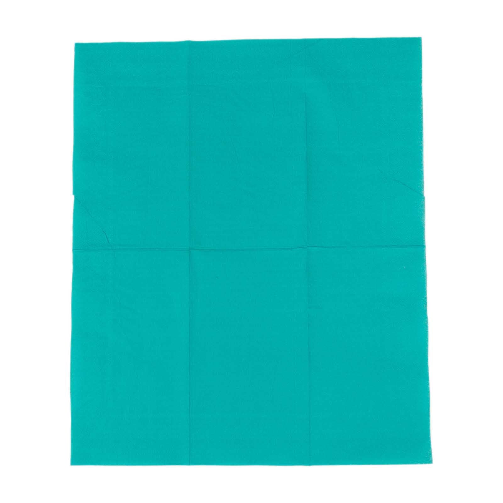 Hot Deal! 50-Pack Disposable 2-Ply Soft Turquoise Paper Cocktail and Beverage Napkins for Weddings