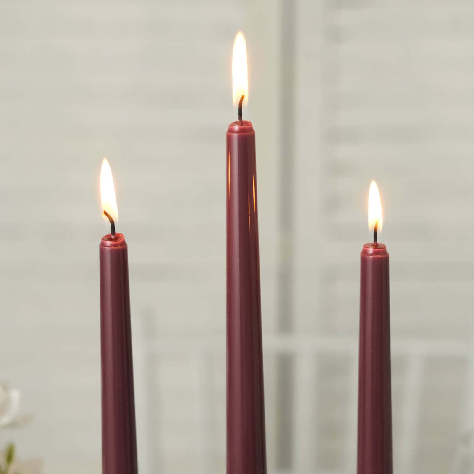 12-Pack Premium Burgundy Unscented Taper Candles - Ideal for Upscale Events