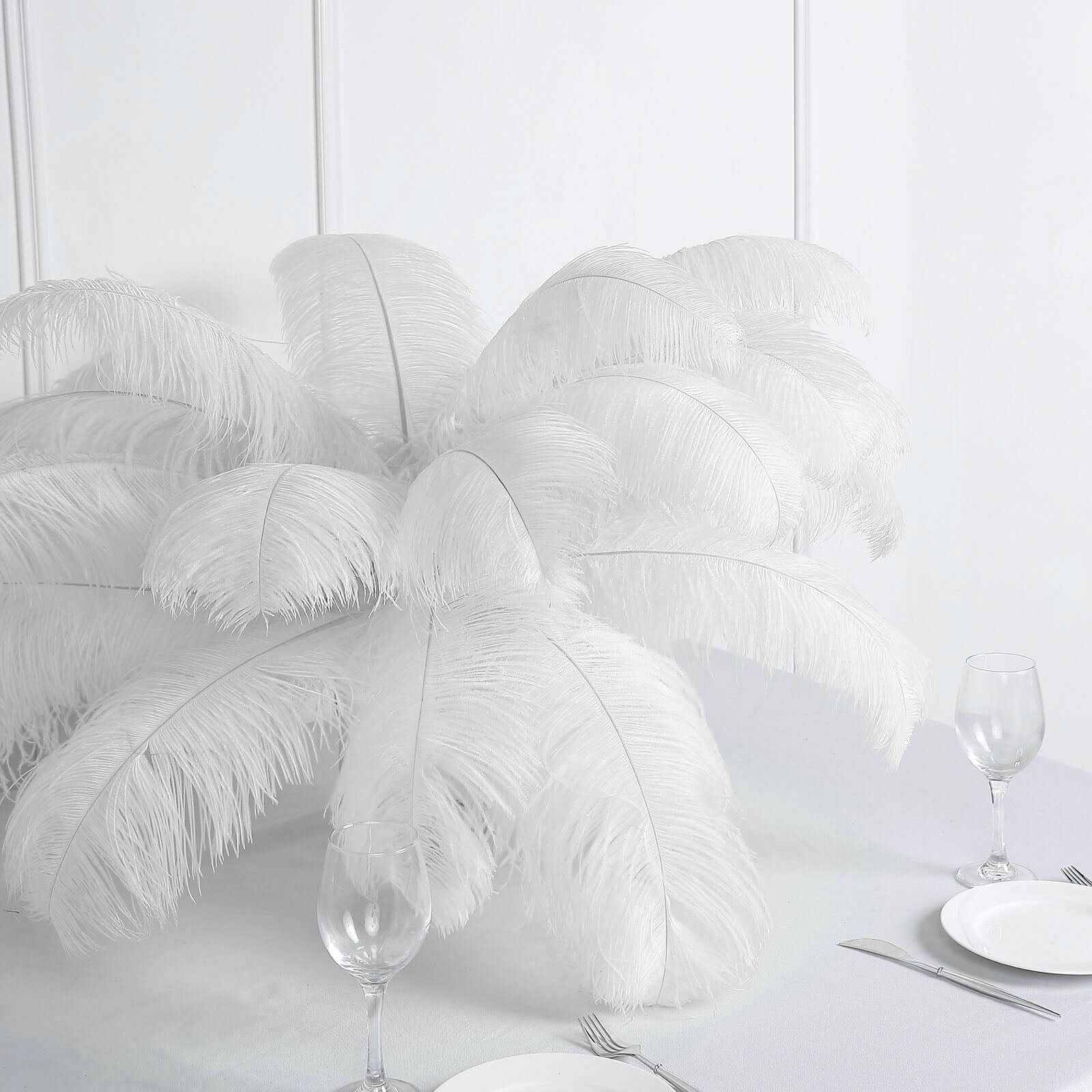 12-Piece Set of White Natural Ostrich Plume Feathers for Centerpiece, 24 - 26 Inches
