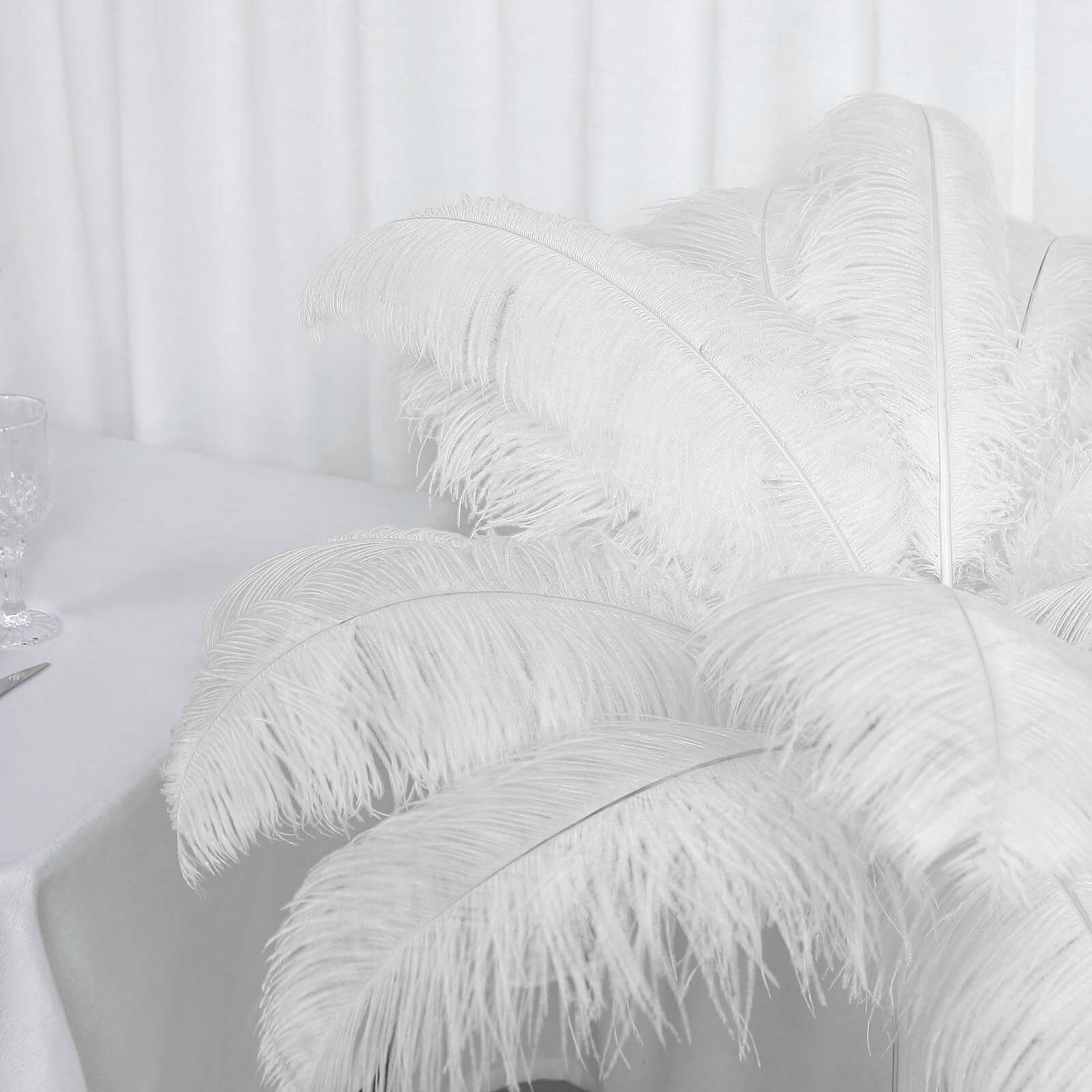 12-Piece Set of White Natural Ostrich Plume Feathers for Centerpiece, 24 - 26 Inches