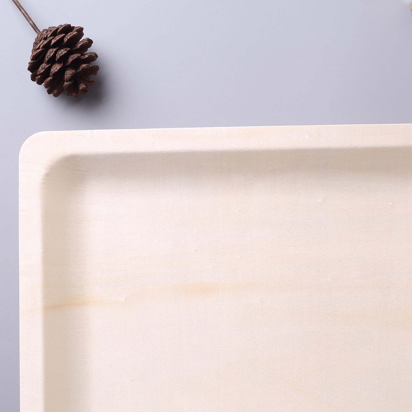 12-Pack Birchwood 8x10 Rectangle Dinner Plates - Natural Eco Friendly Wooden Disposable Plates for Farmhouse-Style Events, Parties & Gatherings