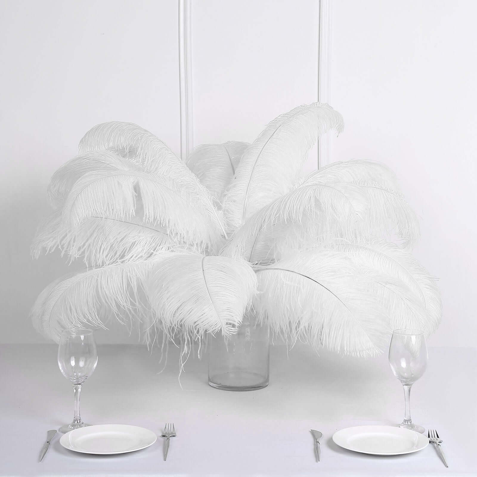 12-Piece Set of White Natural Ostrich Plume Feathers for Centerpiece, 24 - 26 Inches