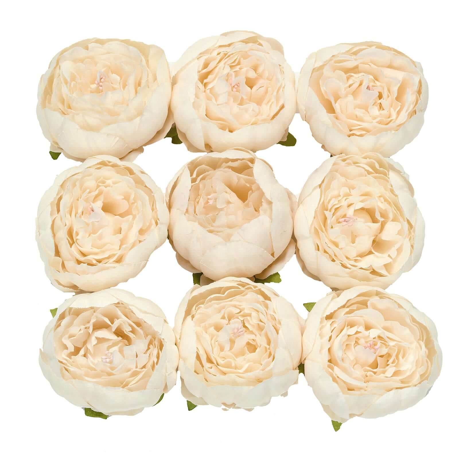 10-Pack Beige Artificial Peony Flower Heads - Ideal for DIY and Events