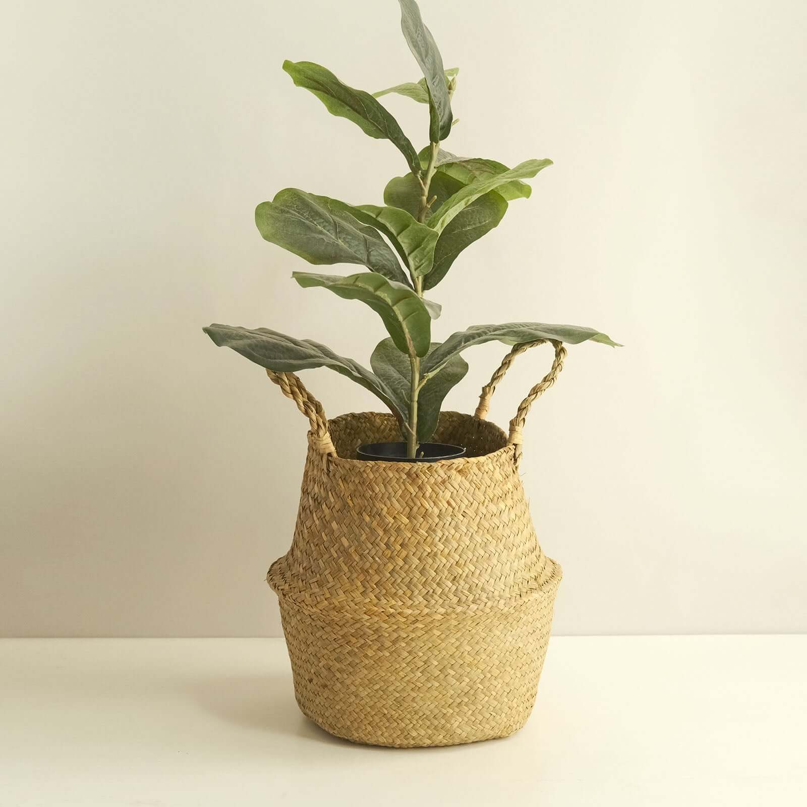 Exclusive Set of 2 Natural Handwoven Seagrass Plant Baskets for Home Organization