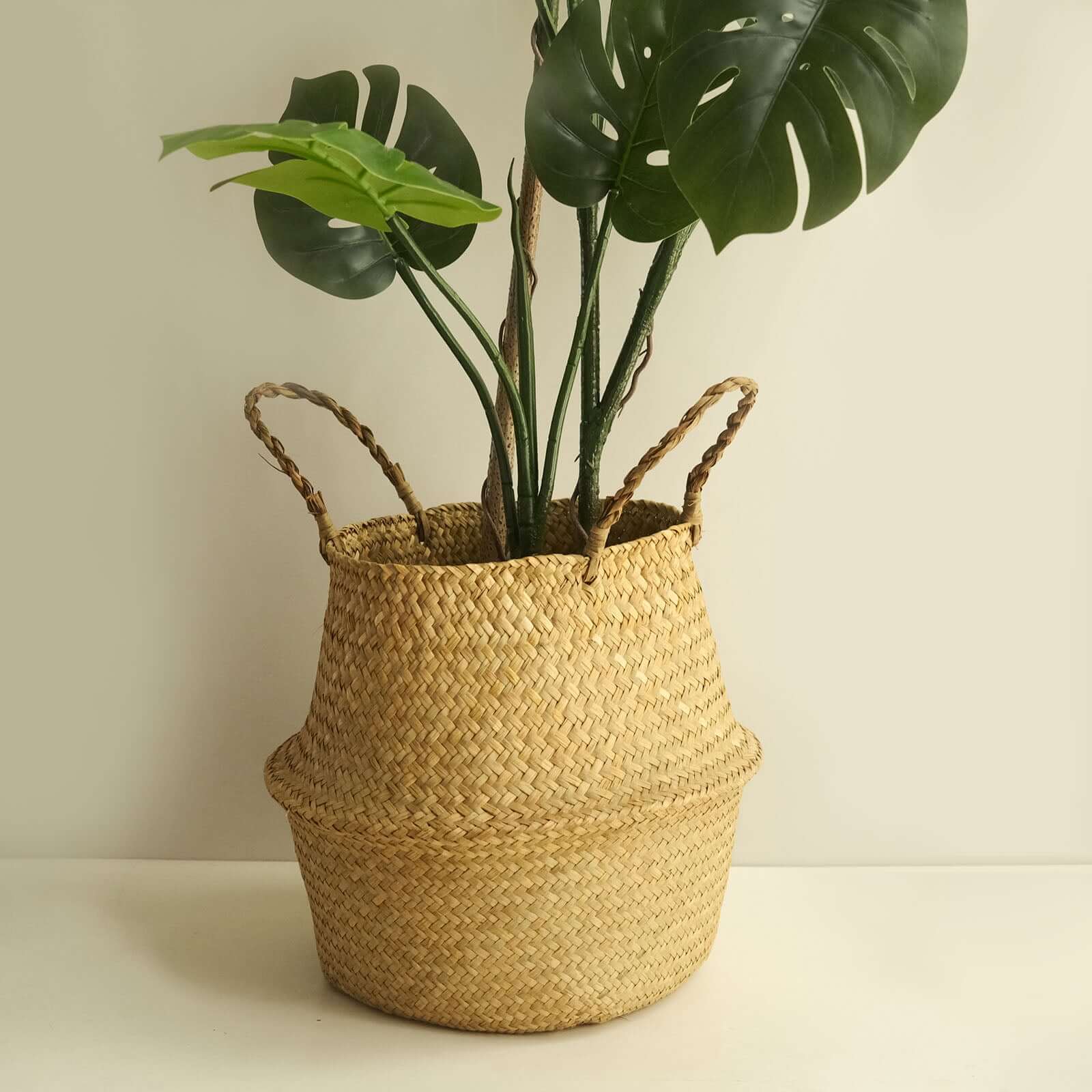 Exclusive Set of 2 Natural Handwoven Seagrass Plant Baskets for Home Organization