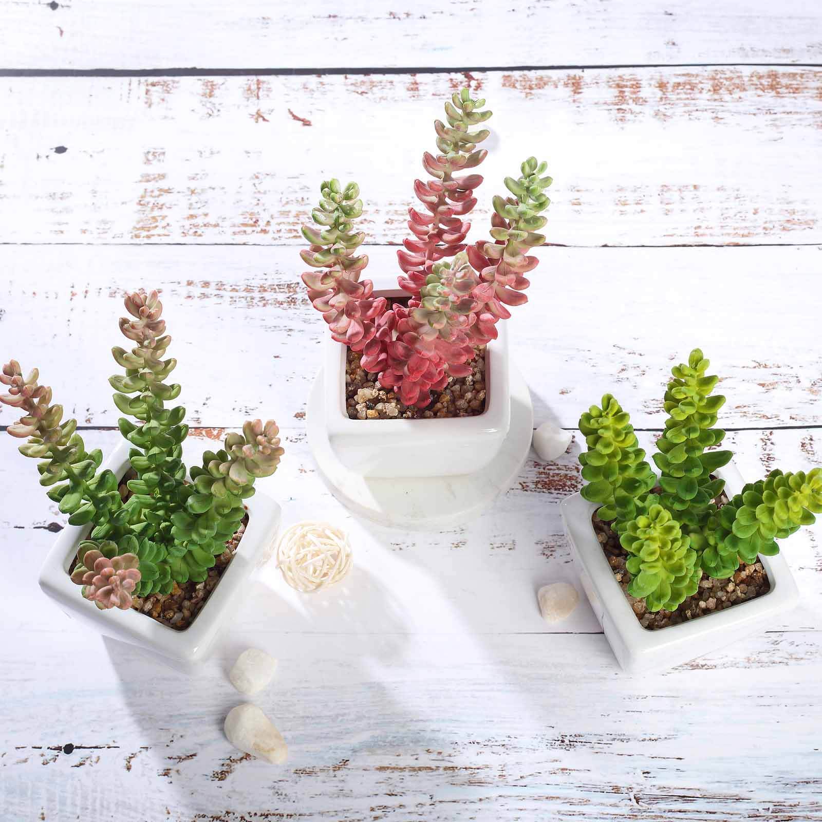 3-Piece Set of Lifelike Sedum Artificial Succulents in Ceramic Pots for Home, Office & Events