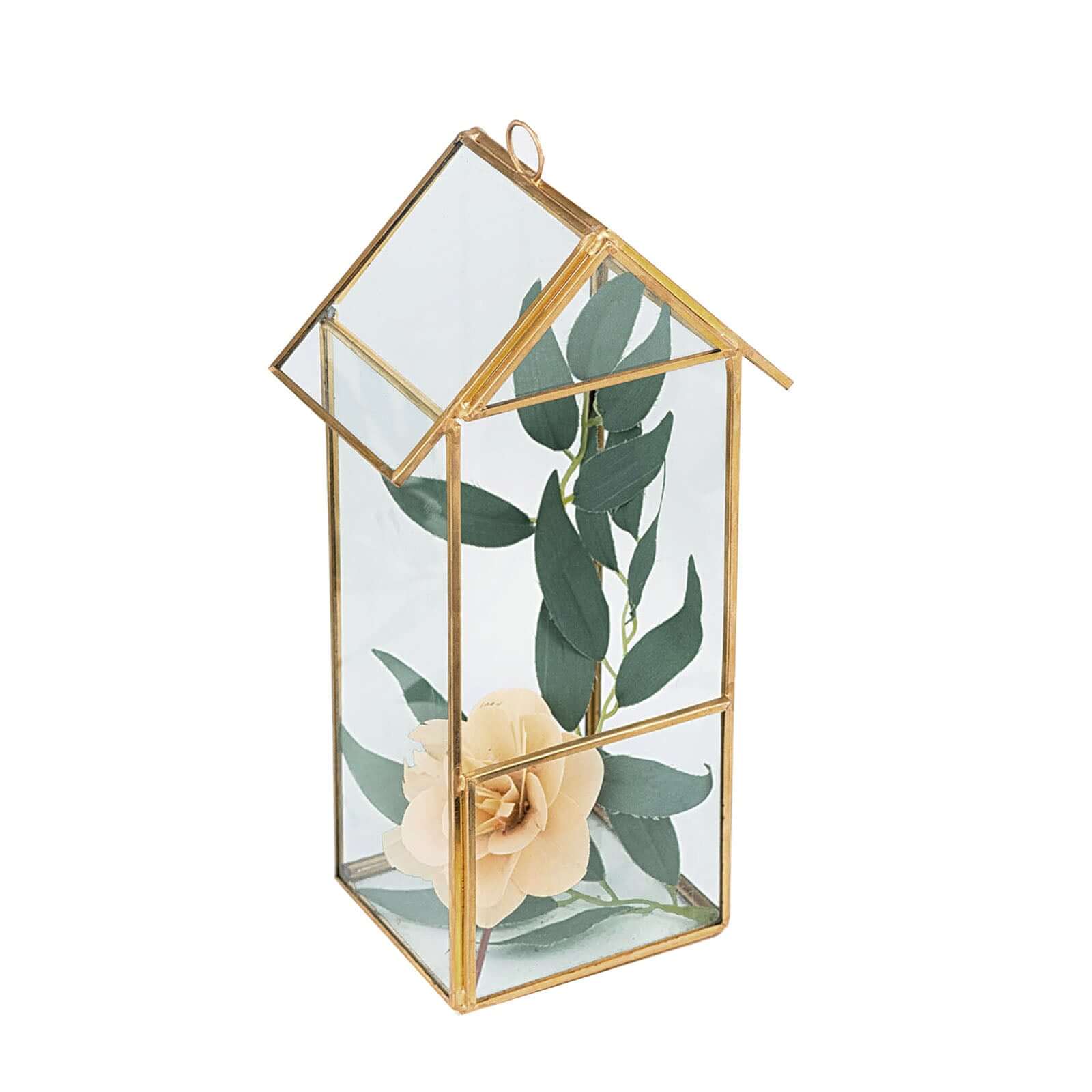 Versatile Gold Metal Frame Glass Hanging Terrarium for Air Plants and Displays