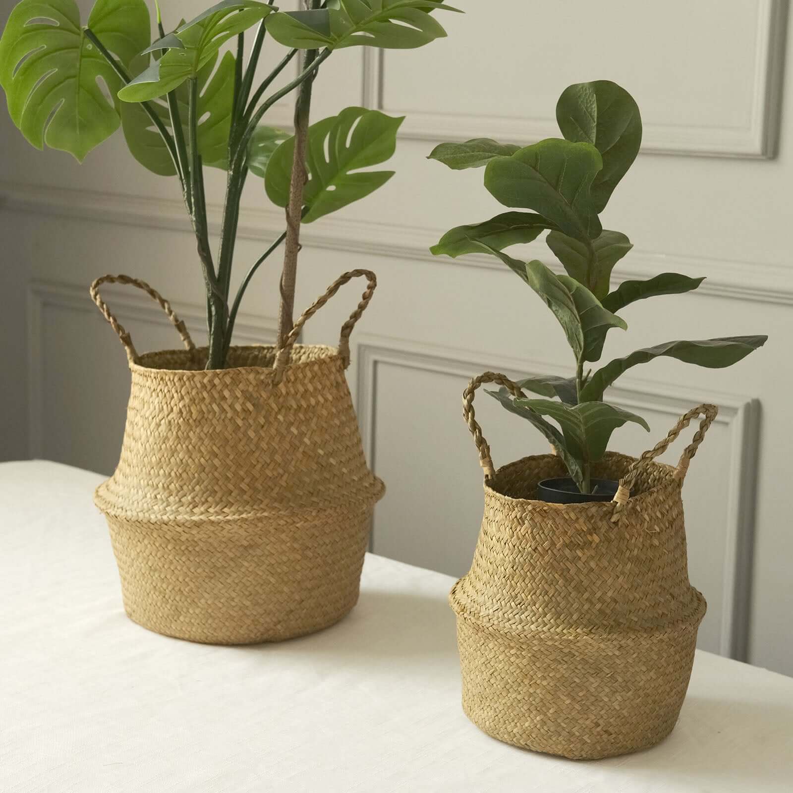 Exclusive Set of 2 Natural Handwoven Seagrass Plant Baskets for Home Organization