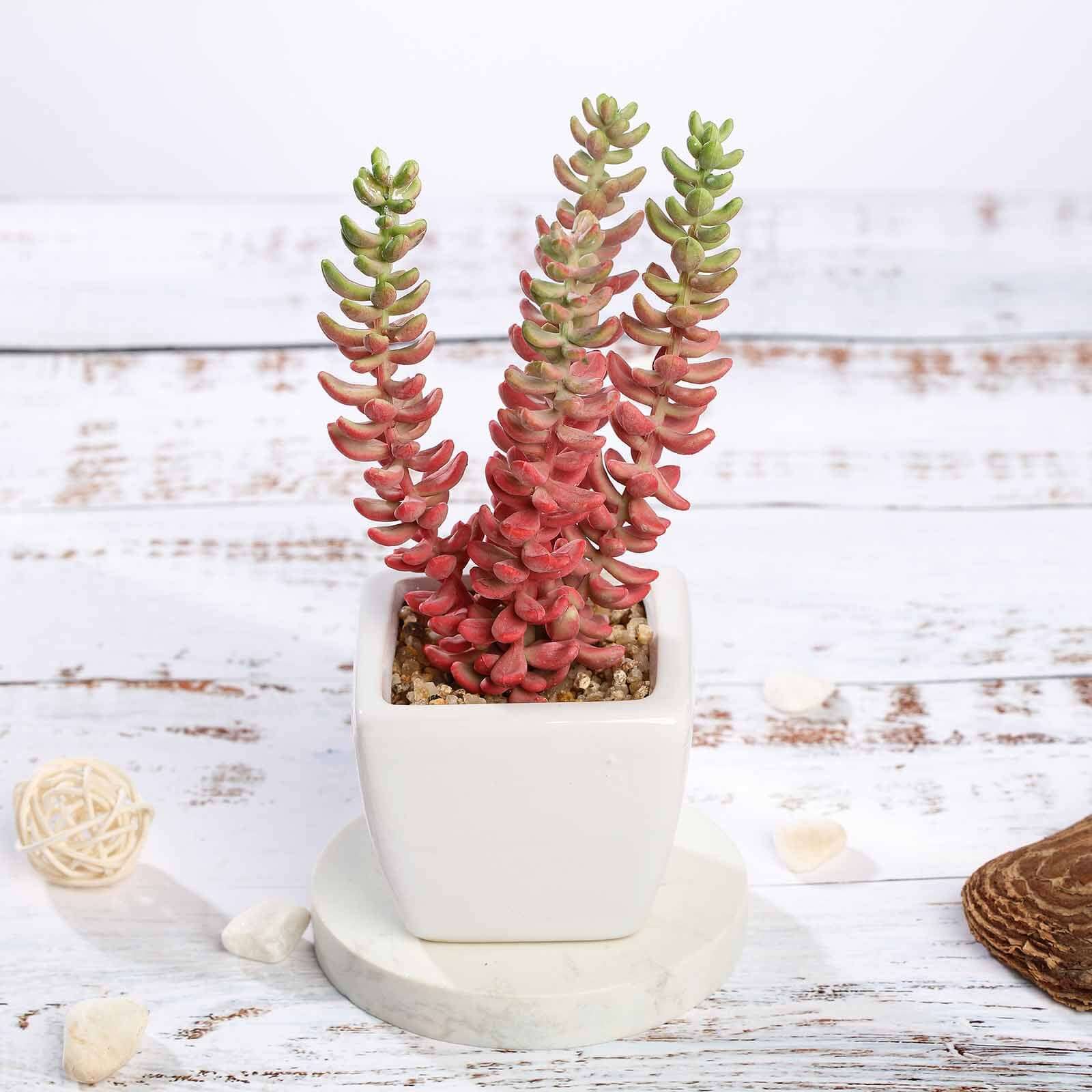 3-Piece Set of Lifelike Sedum Artificial Succulents in Ceramic Pots for Home, Office & Events