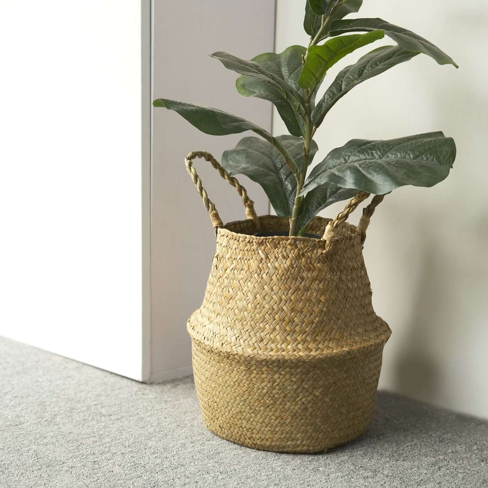 Exclusive Set of 2 Natural Handwoven Seagrass Plant Baskets for Home Organization