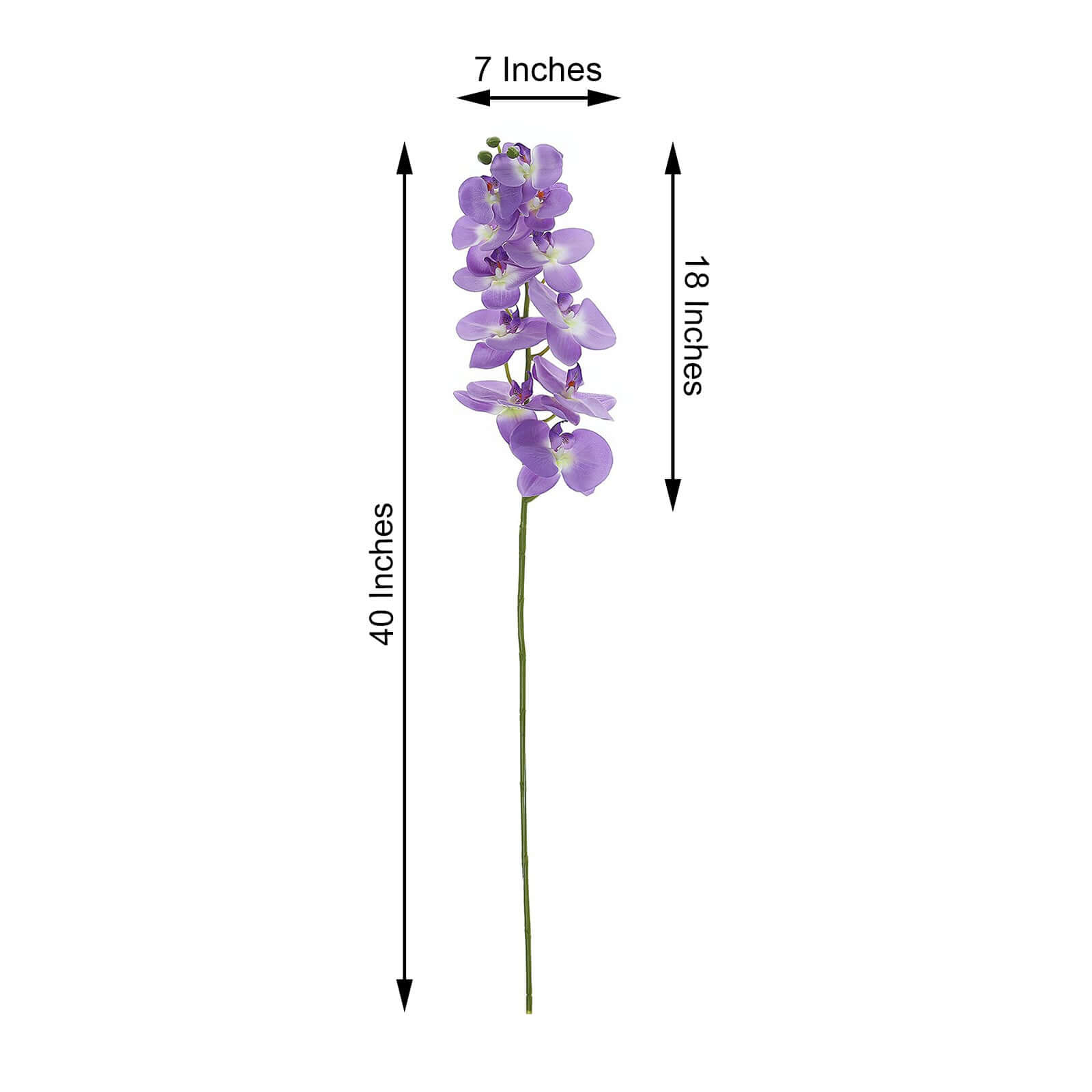 Hot! 2 Stems 40