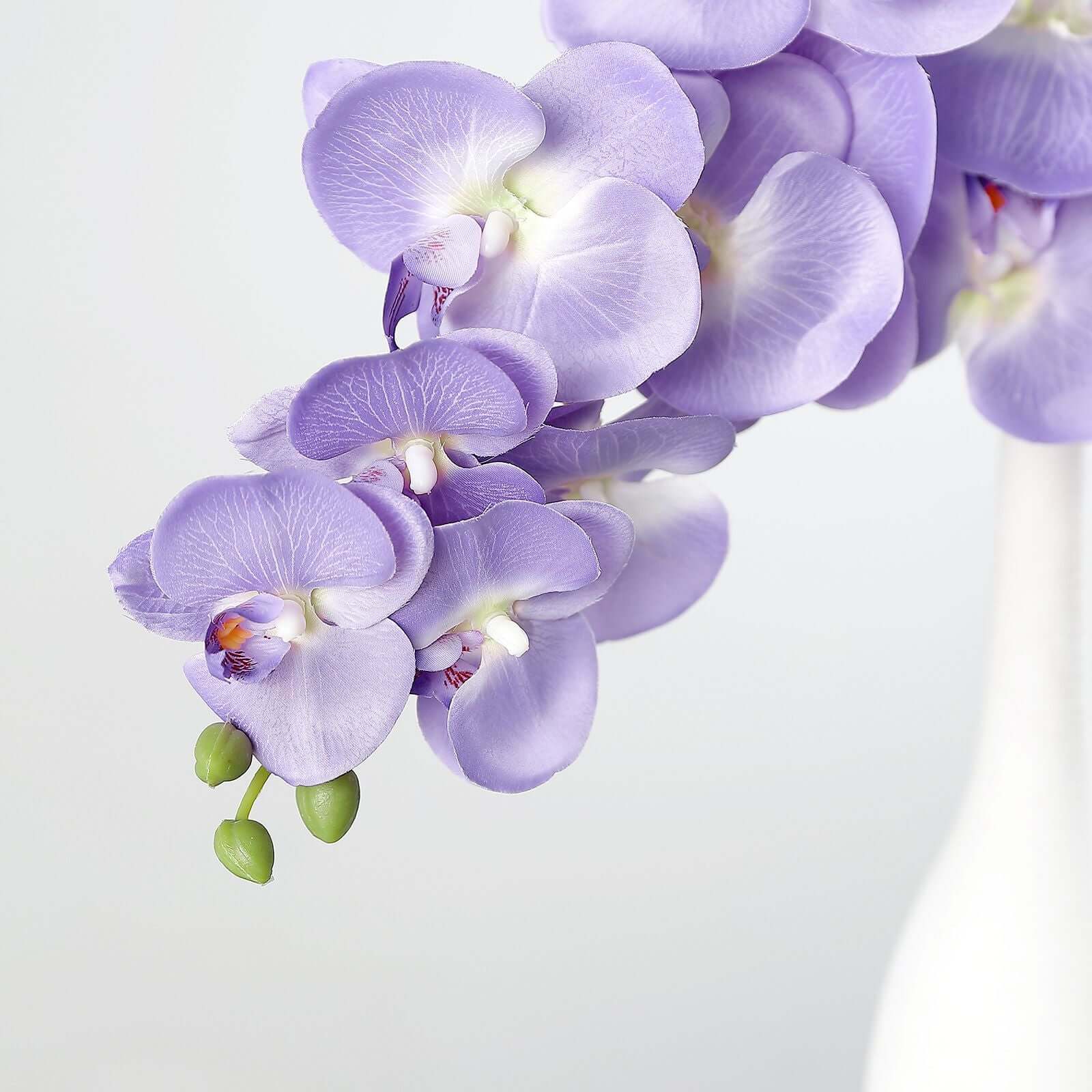 Hot! 2 Stems 40