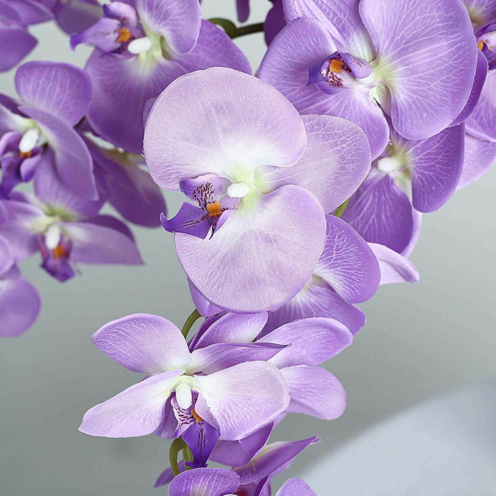 Hot! 2 Stems 40