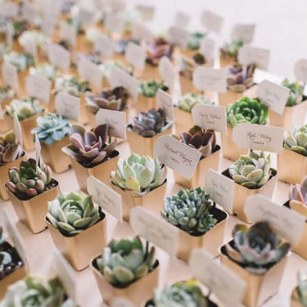 3-Piece Set of Lifelike Sedum Artificial Succulents in Ceramic Pots for Home, Office & Events
