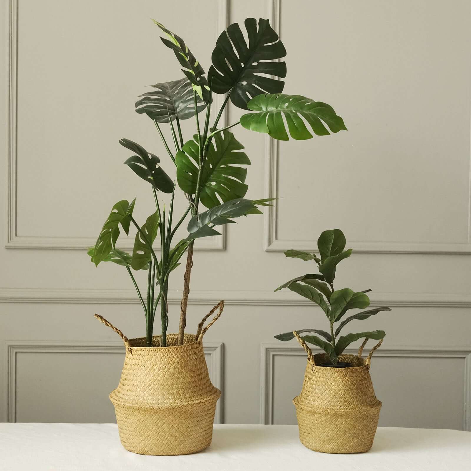 Exclusive Set of 2 Natural Handwoven Seagrass Plant Baskets for Home Organization