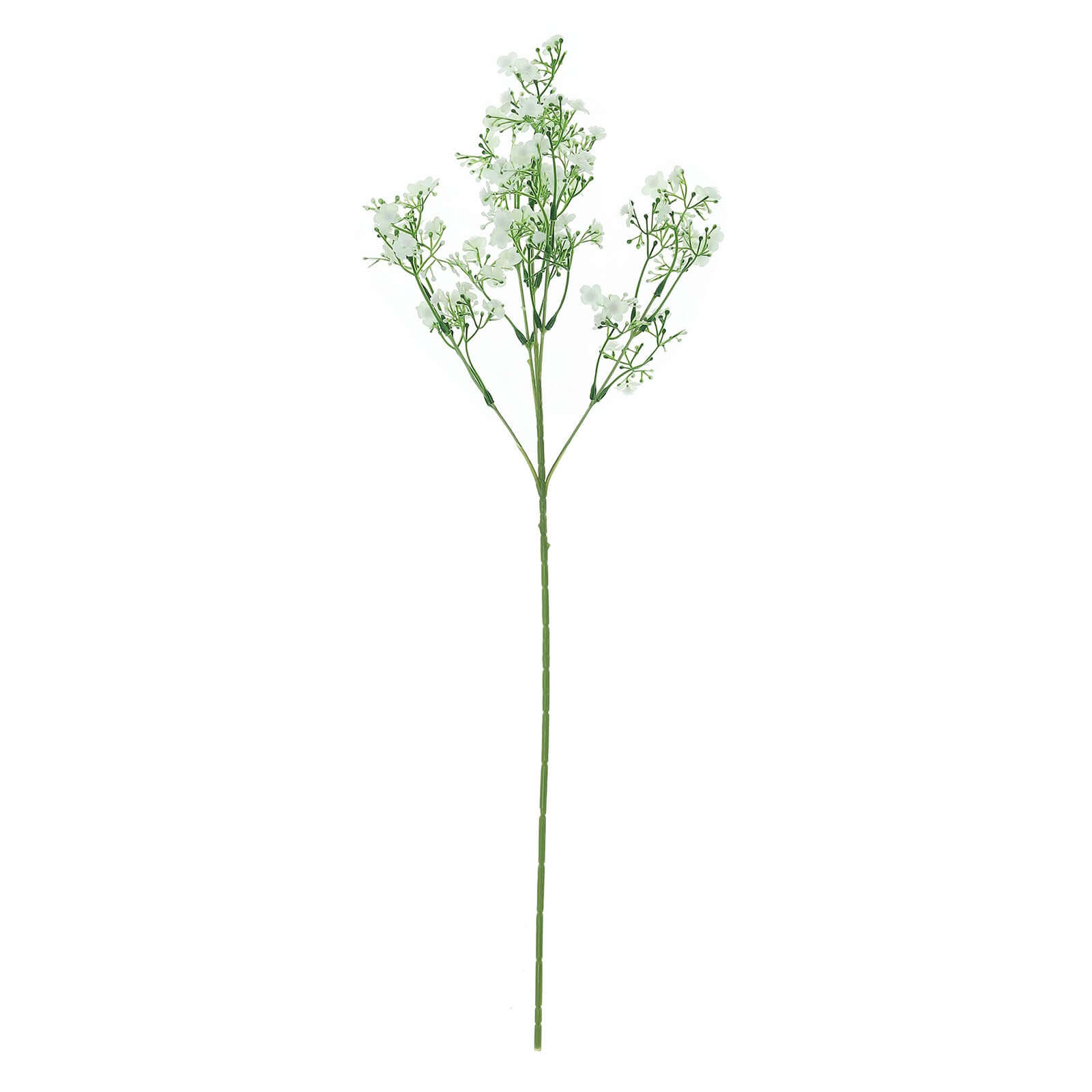 Get 4 Stems of 27