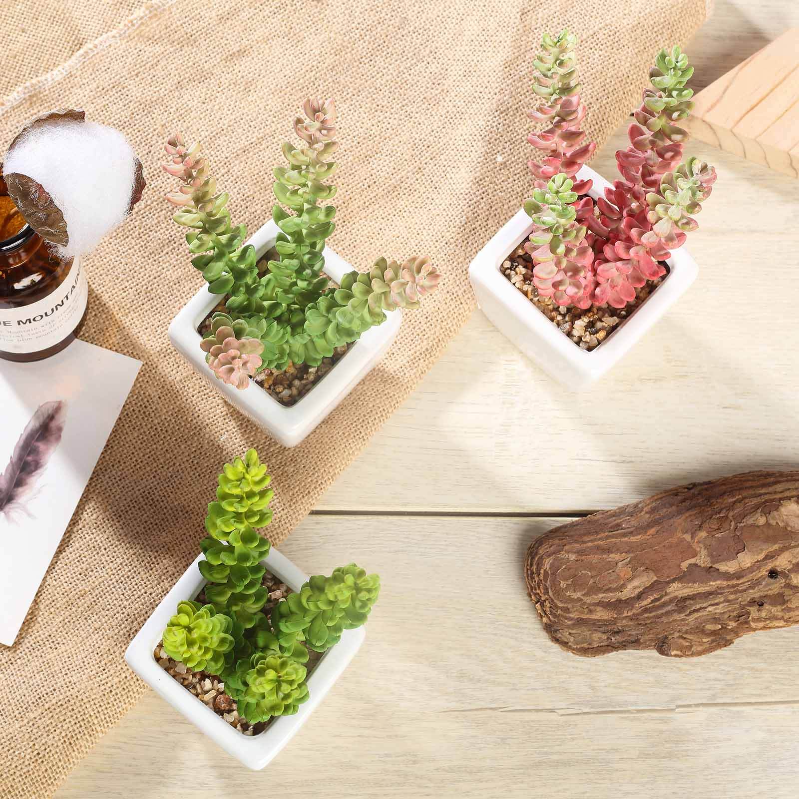3-Piece Set of Lifelike Sedum Artificial Succulents in Ceramic Pots for Home, Office & Events