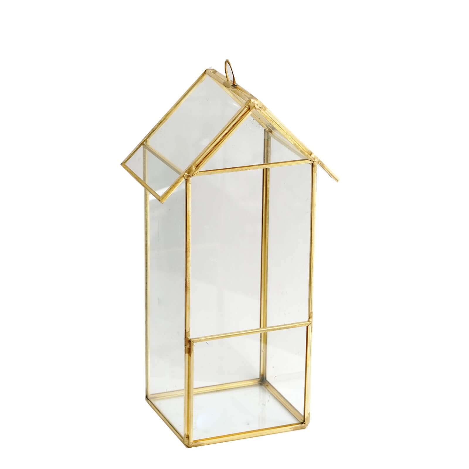 Versatile Gold Metal Frame Glass Hanging Terrarium for Air Plants and Displays