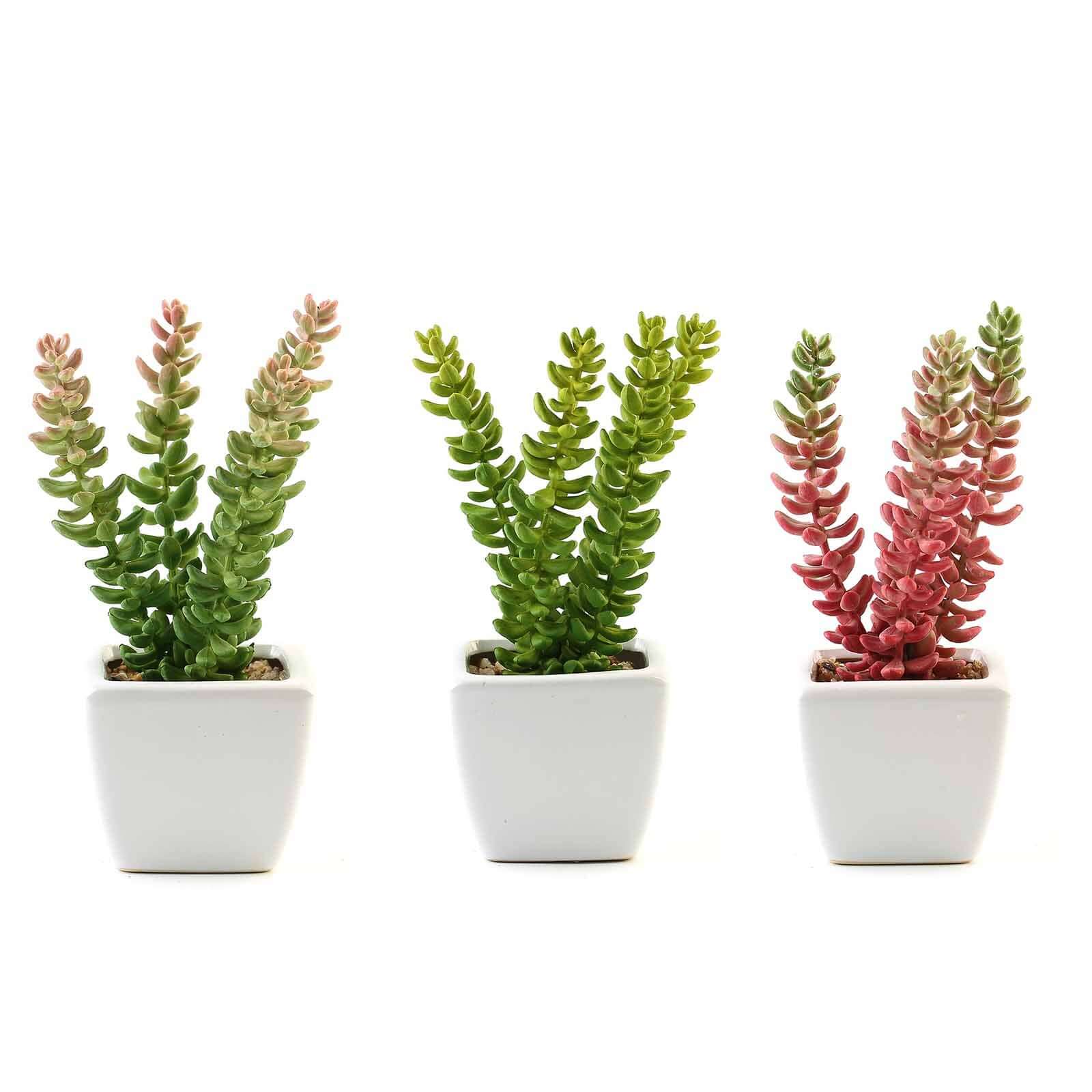 3-Piece Set of Lifelike Sedum Artificial Succulents in Ceramic Pots for Home, Office & Events