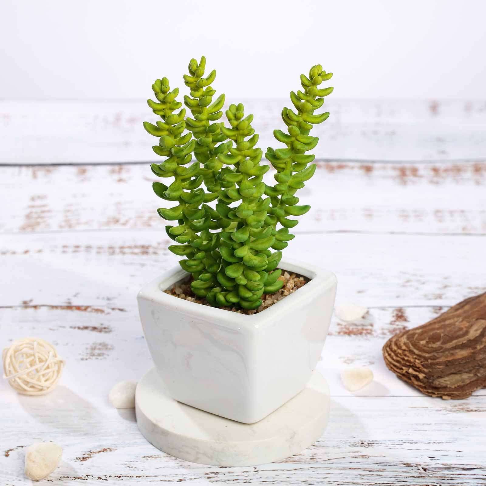 3-Piece Set of Lifelike Sedum Artificial Succulents in Ceramic Pots for Home, Office & Events