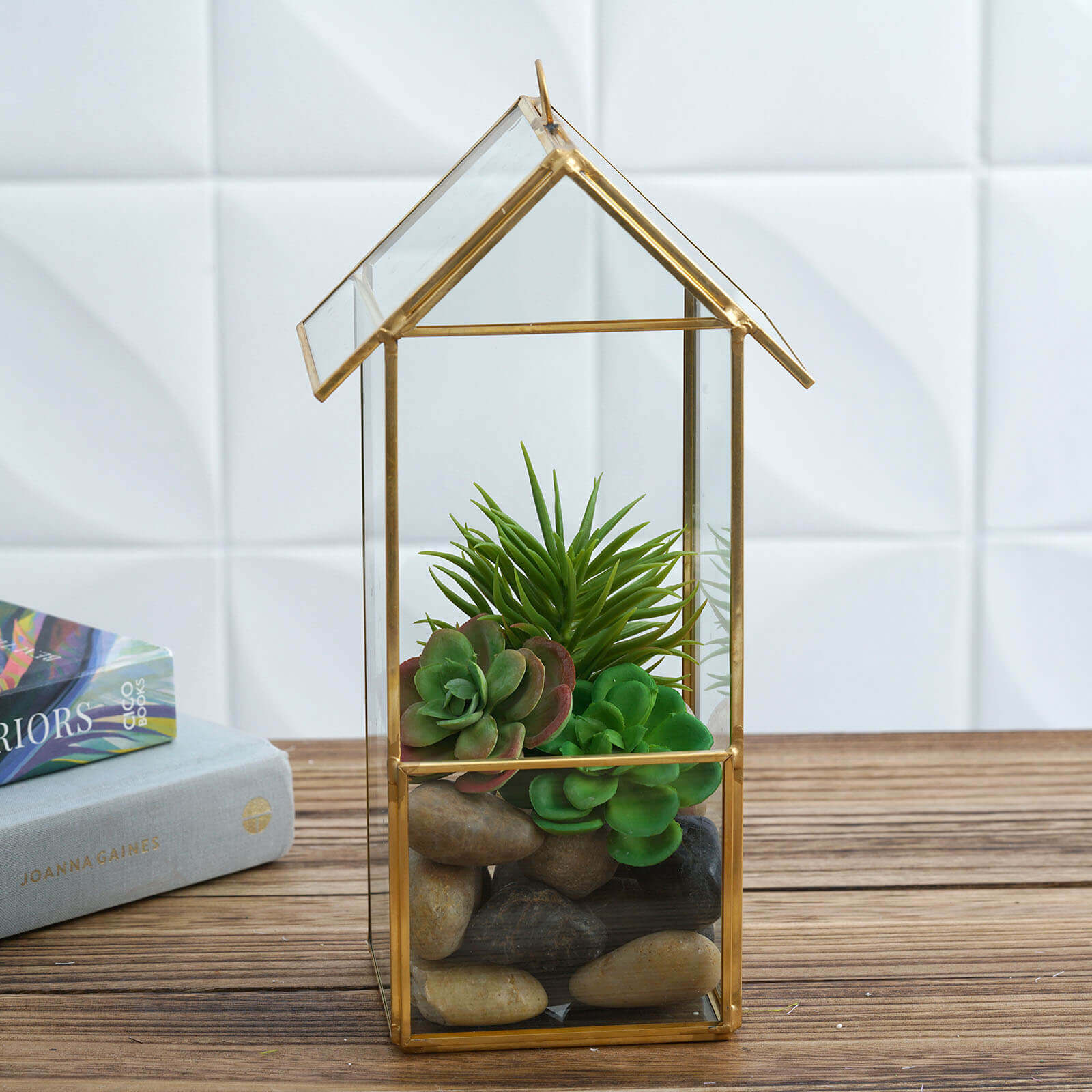 Versatile Gold Metal Frame Glass Hanging Terrarium for Air Plants and Displays