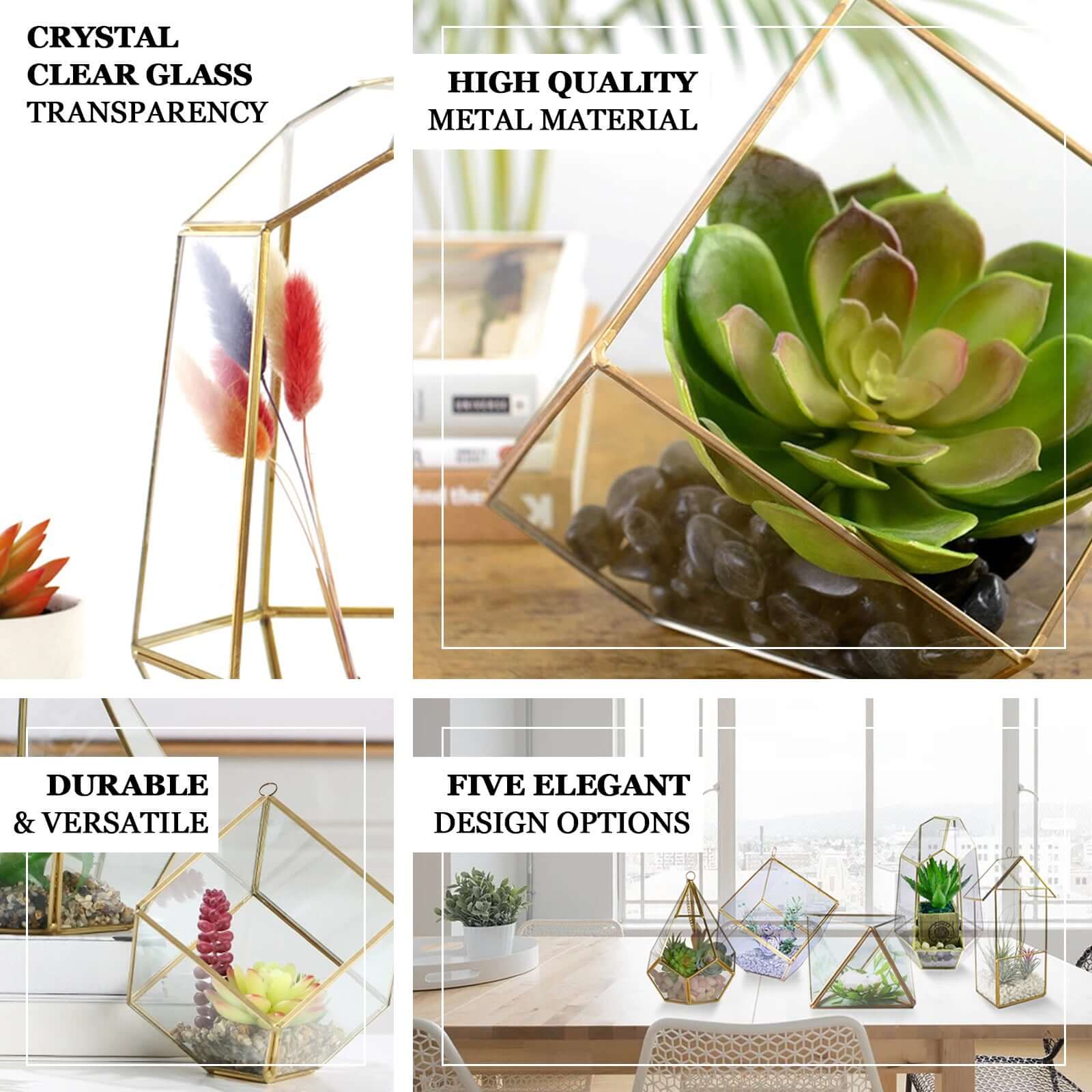 Versatile Gold Metal Frame Glass Hanging Terrarium for Air Plants and Displays