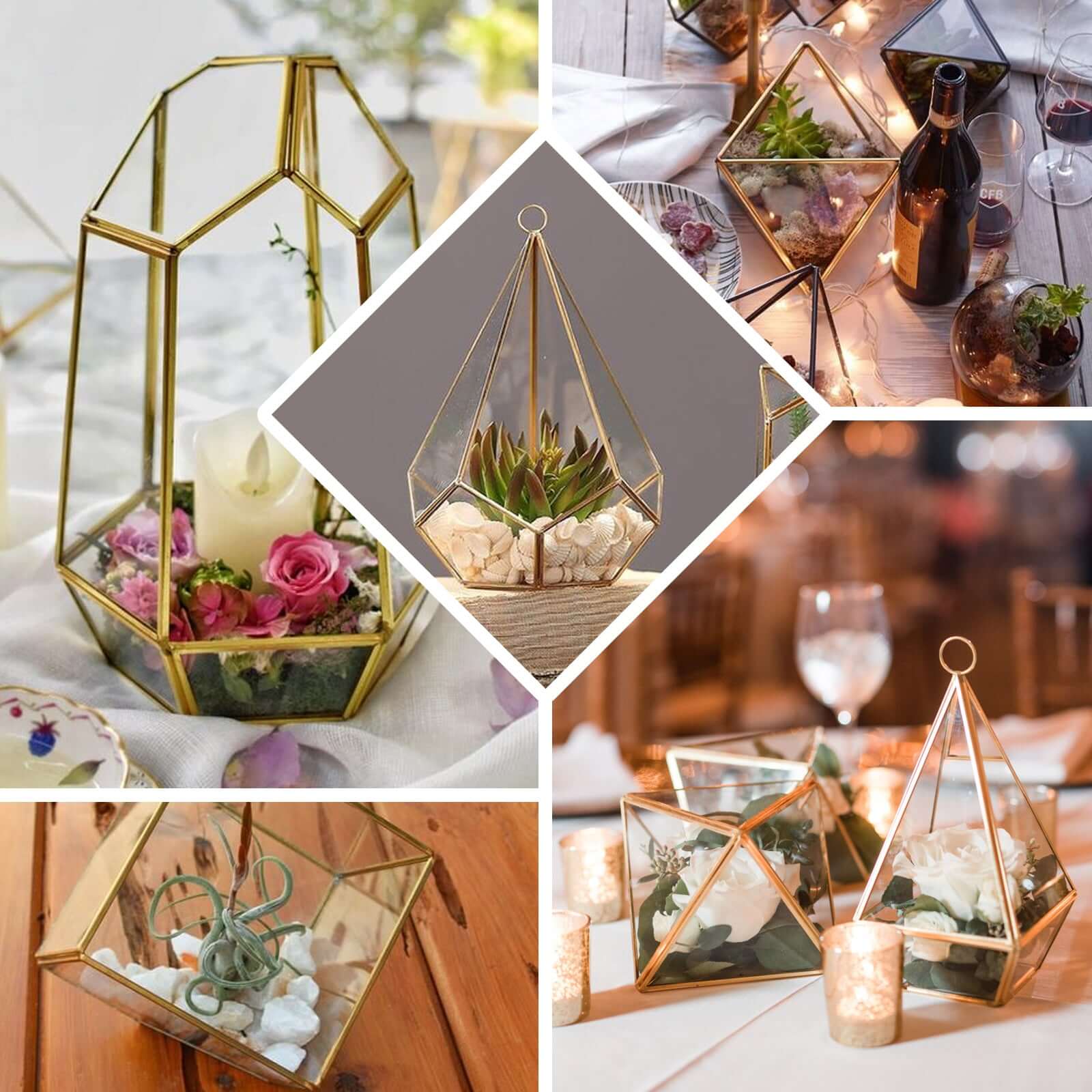Versatile Gold Metal Frame Glass Hanging Terrarium for Air Plants and Displays