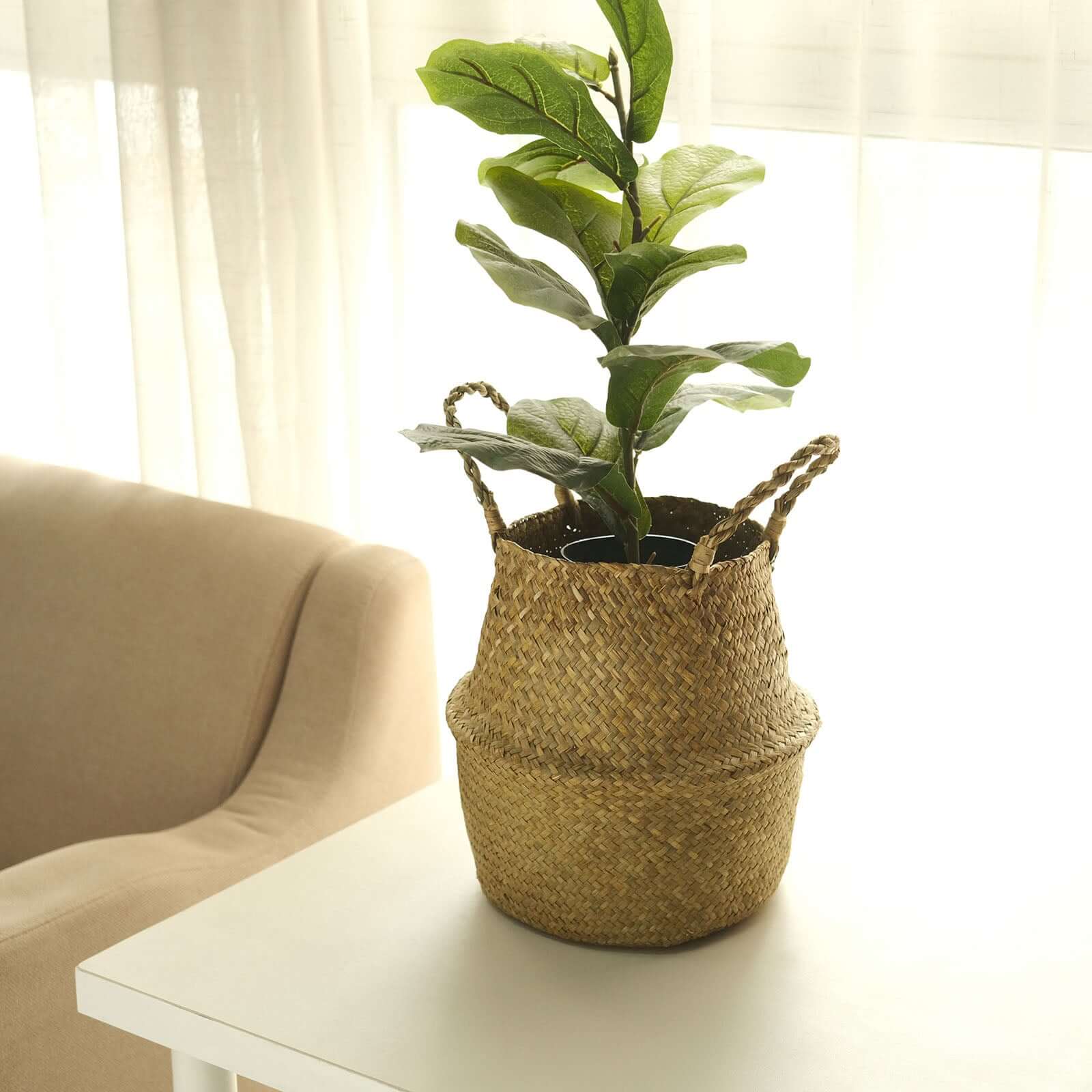 Exclusive Set of 2 Natural Handwoven Seagrass Plant Baskets for Home Organization