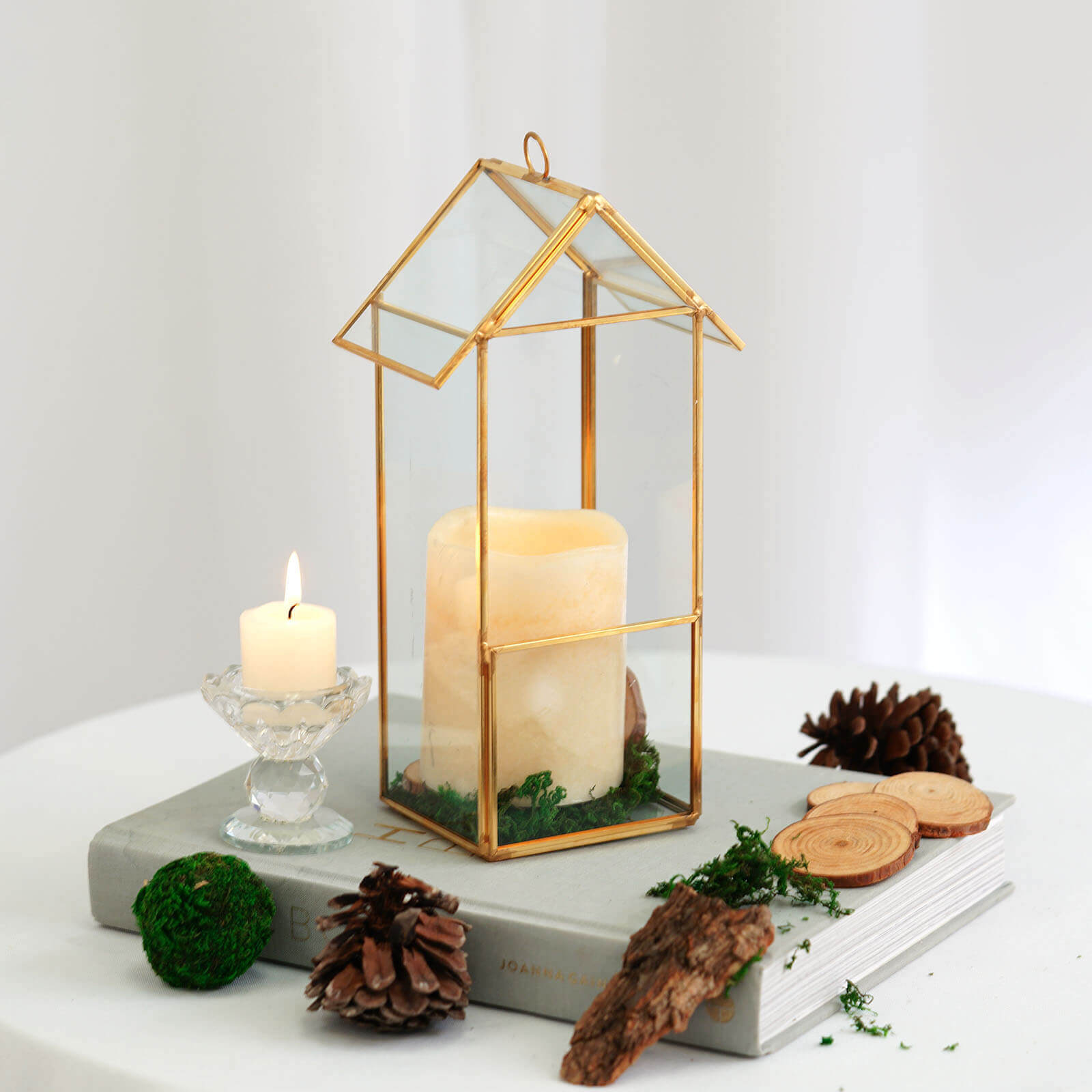 Versatile Gold Metal Frame Glass Hanging Terrarium for Air Plants and Displays