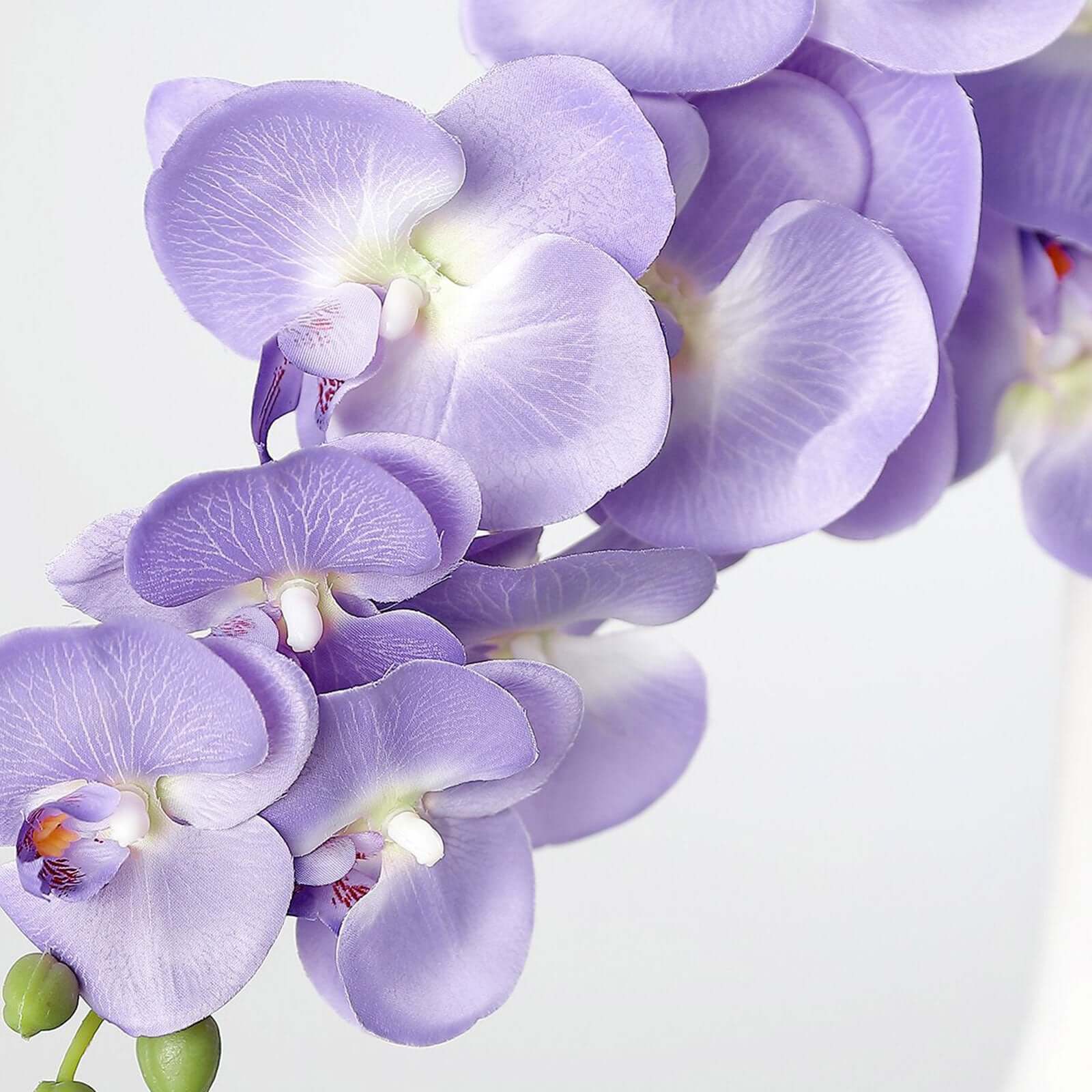 Hot! 2 Stems 40
