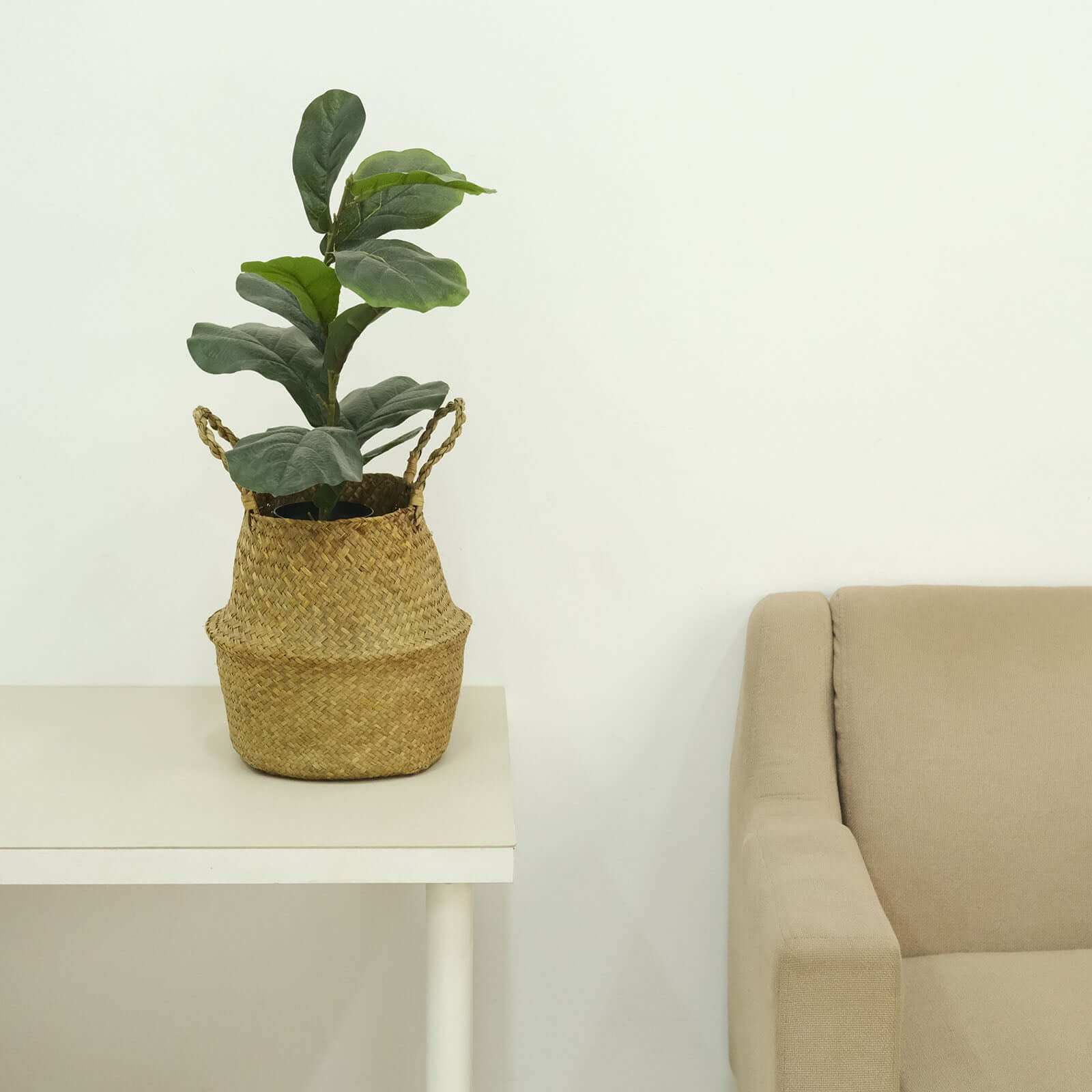 Exclusive Set of 2 Natural Handwoven Seagrass Plant Baskets for Home Organization