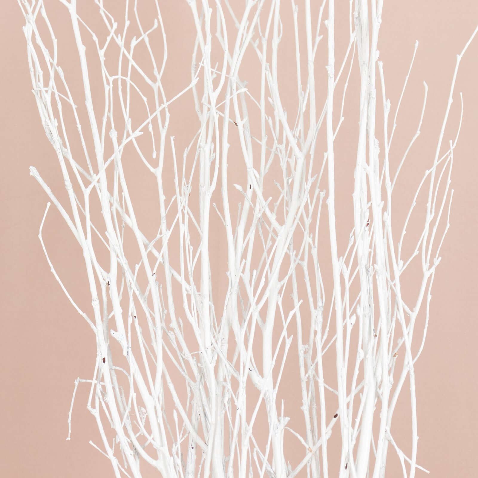 6-Pack 46" White Natural Birch Branches - Ideal for Wedding & Home Decor